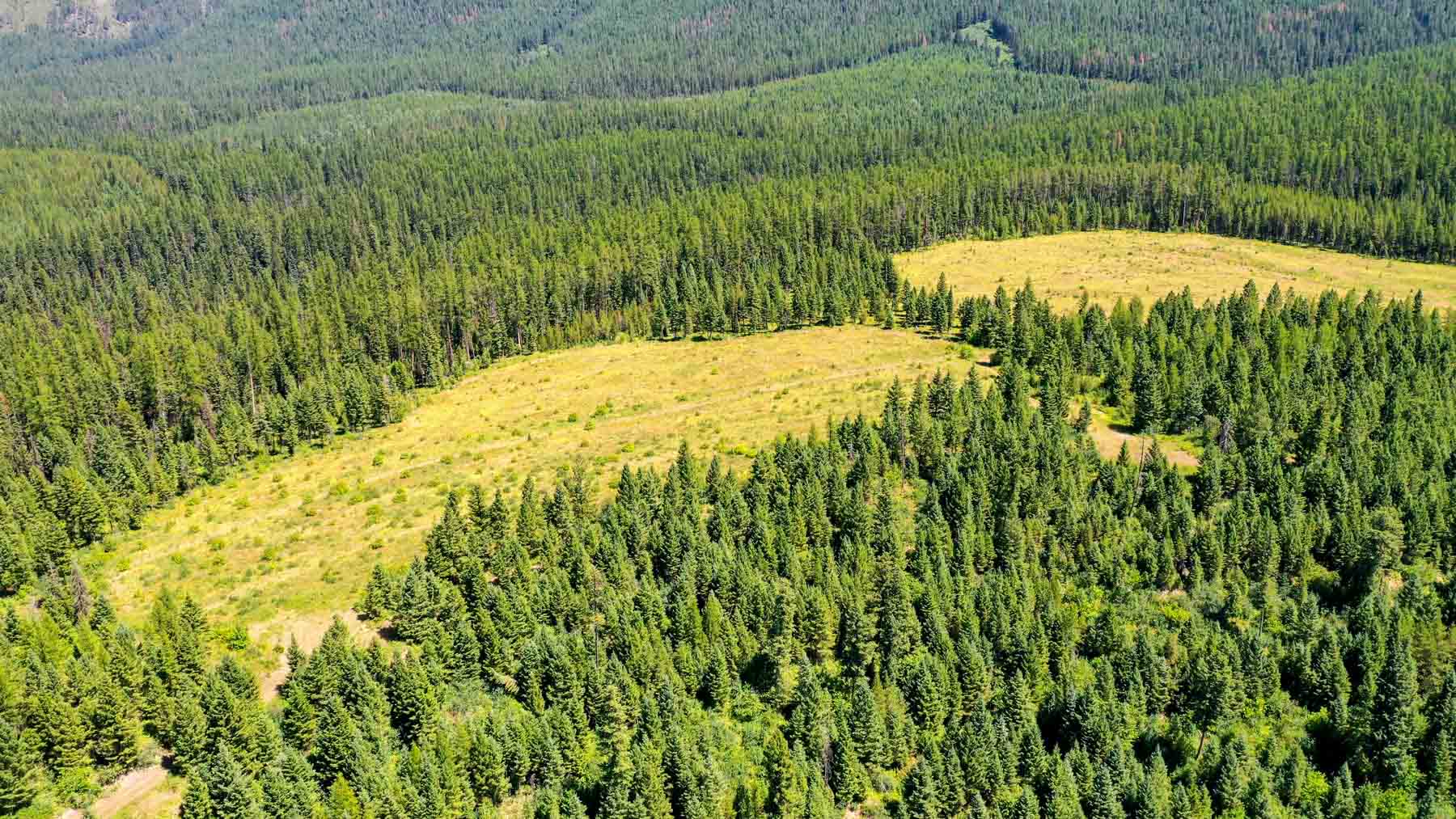 Holland Lake Overlook property picture 8 of 28