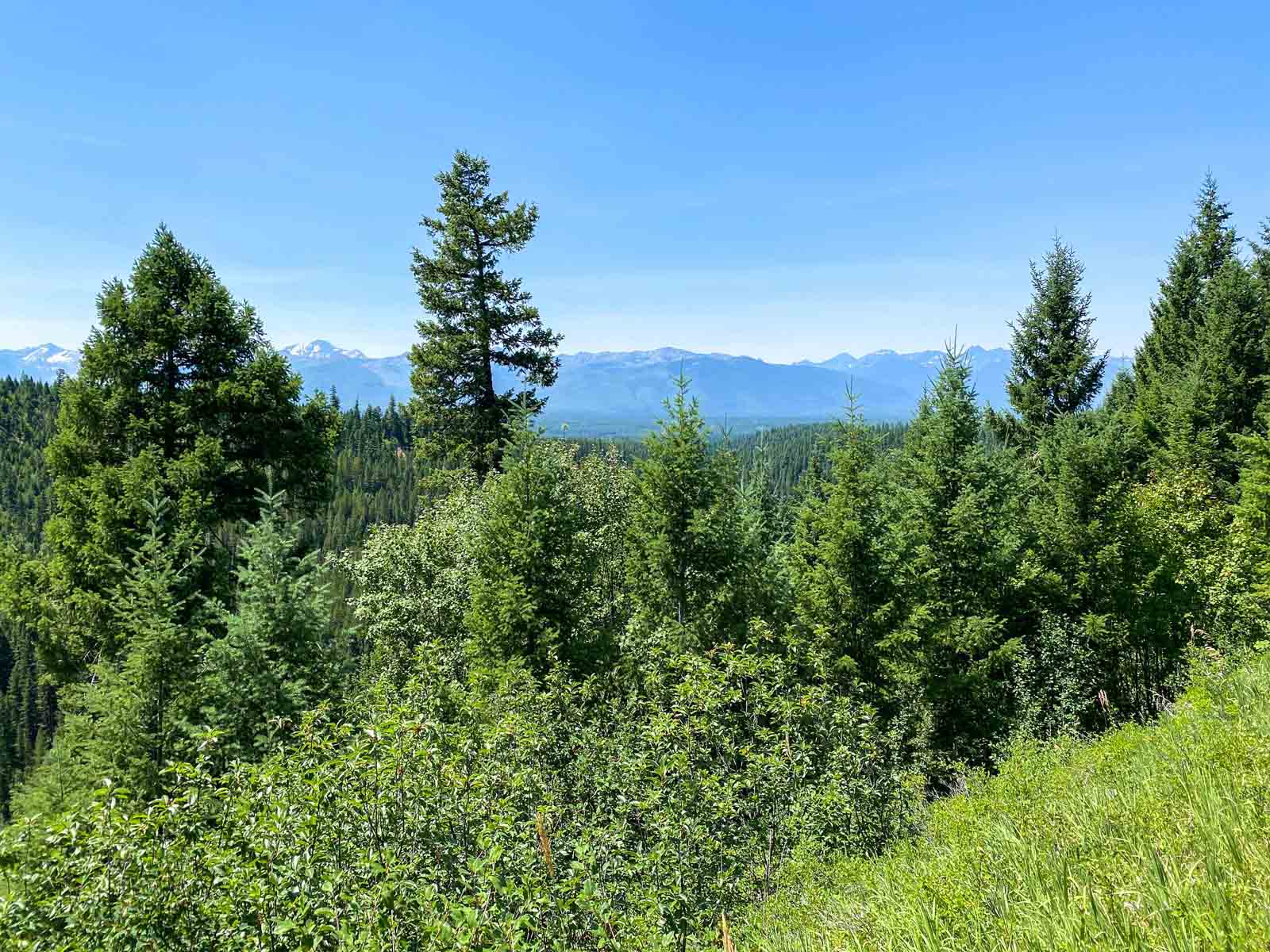 Holland Lake Overlook property picture 11 of 28