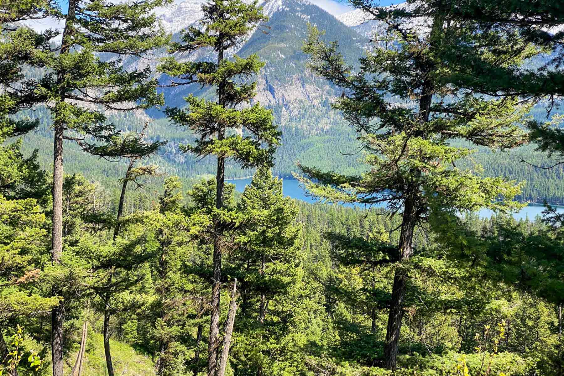 Holland Lake Overlook property picture 23 of 28