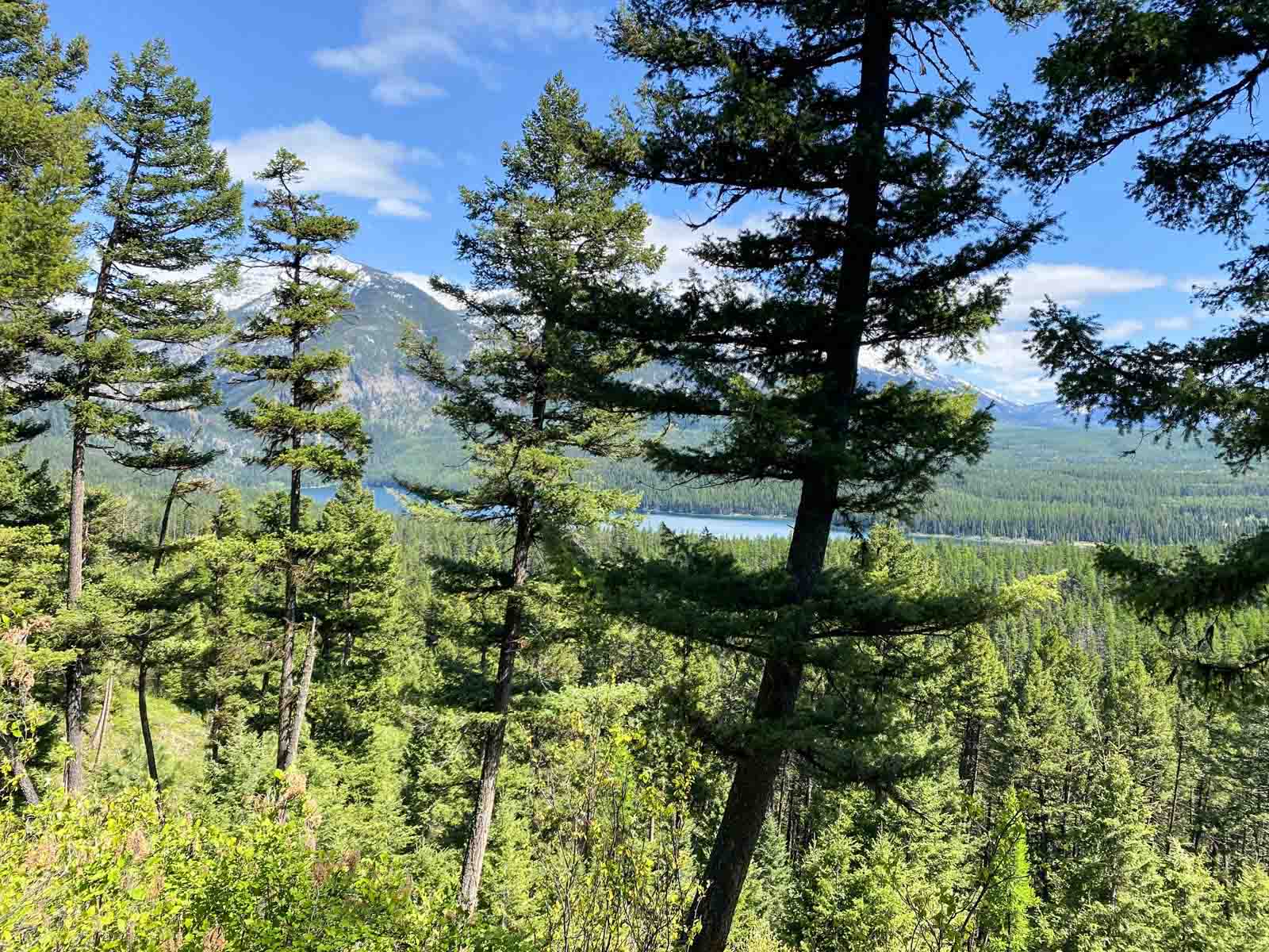 Holland Lake Overlook property picture 14 of 28