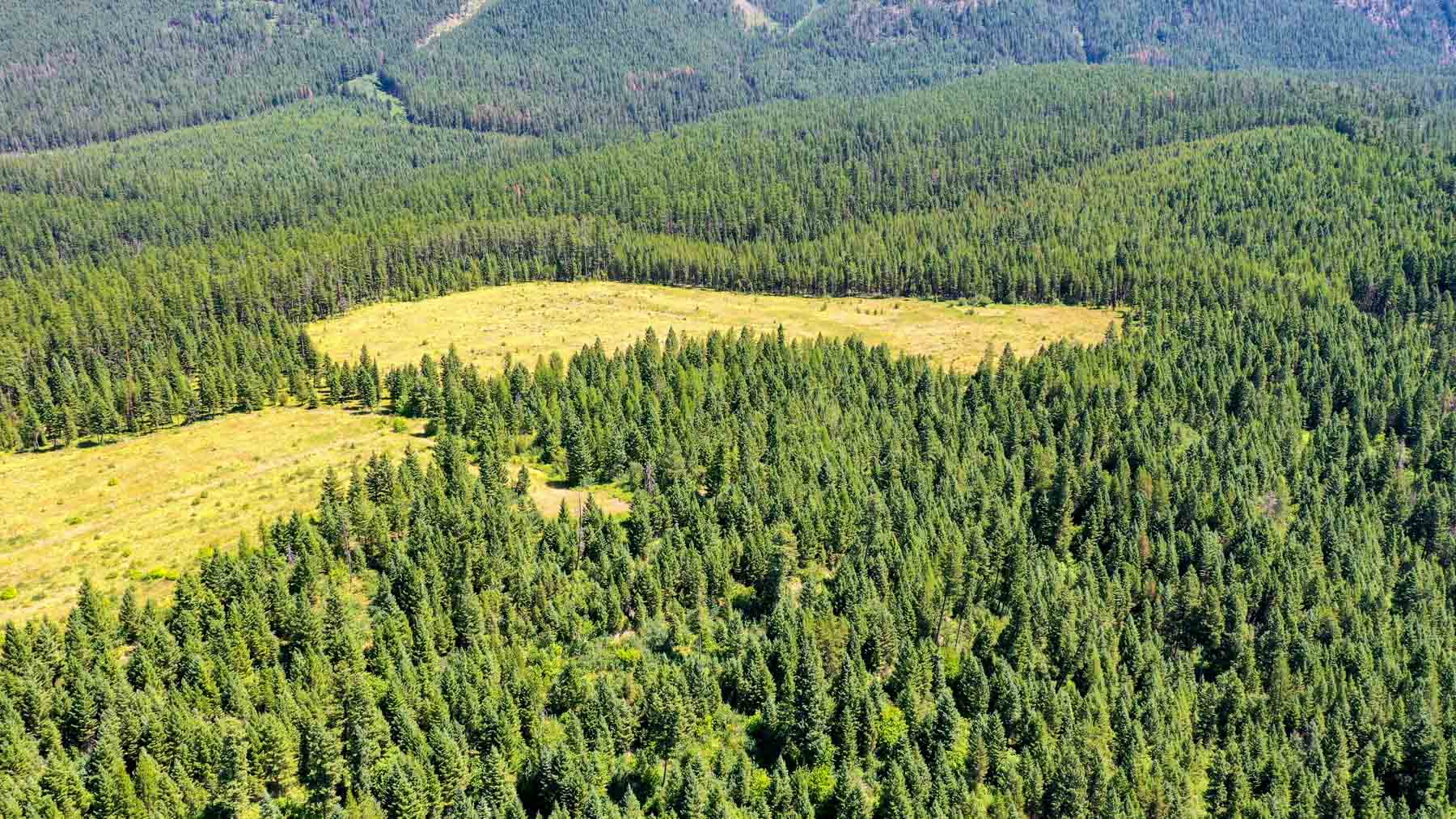 Holland Lake Overlook property picture 18 of 28