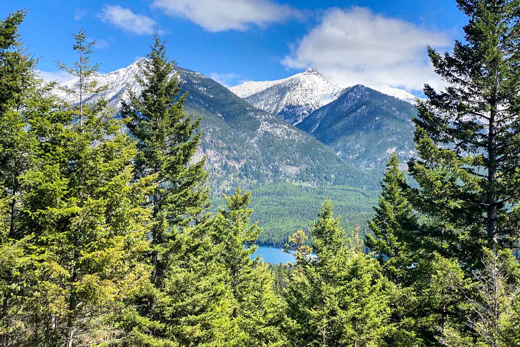 Holland Lake Overlook property picture 4 of 28