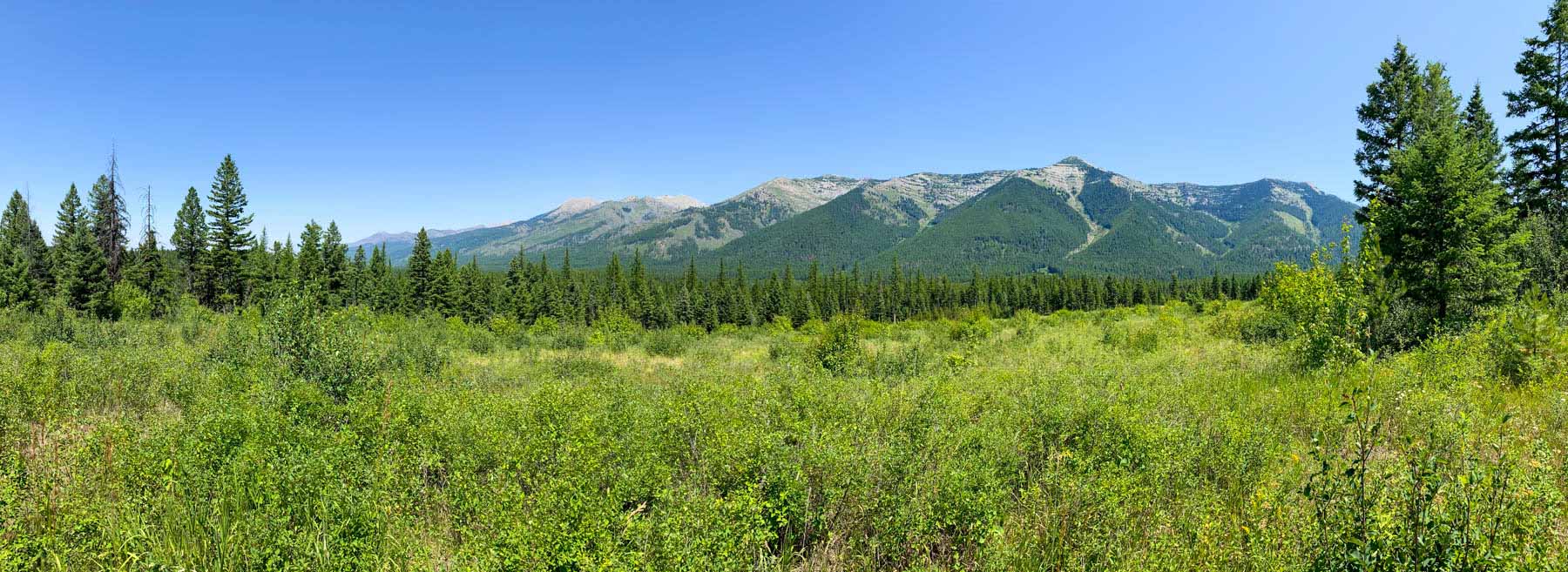 Holland Lake Overlook property picture 10 of 28