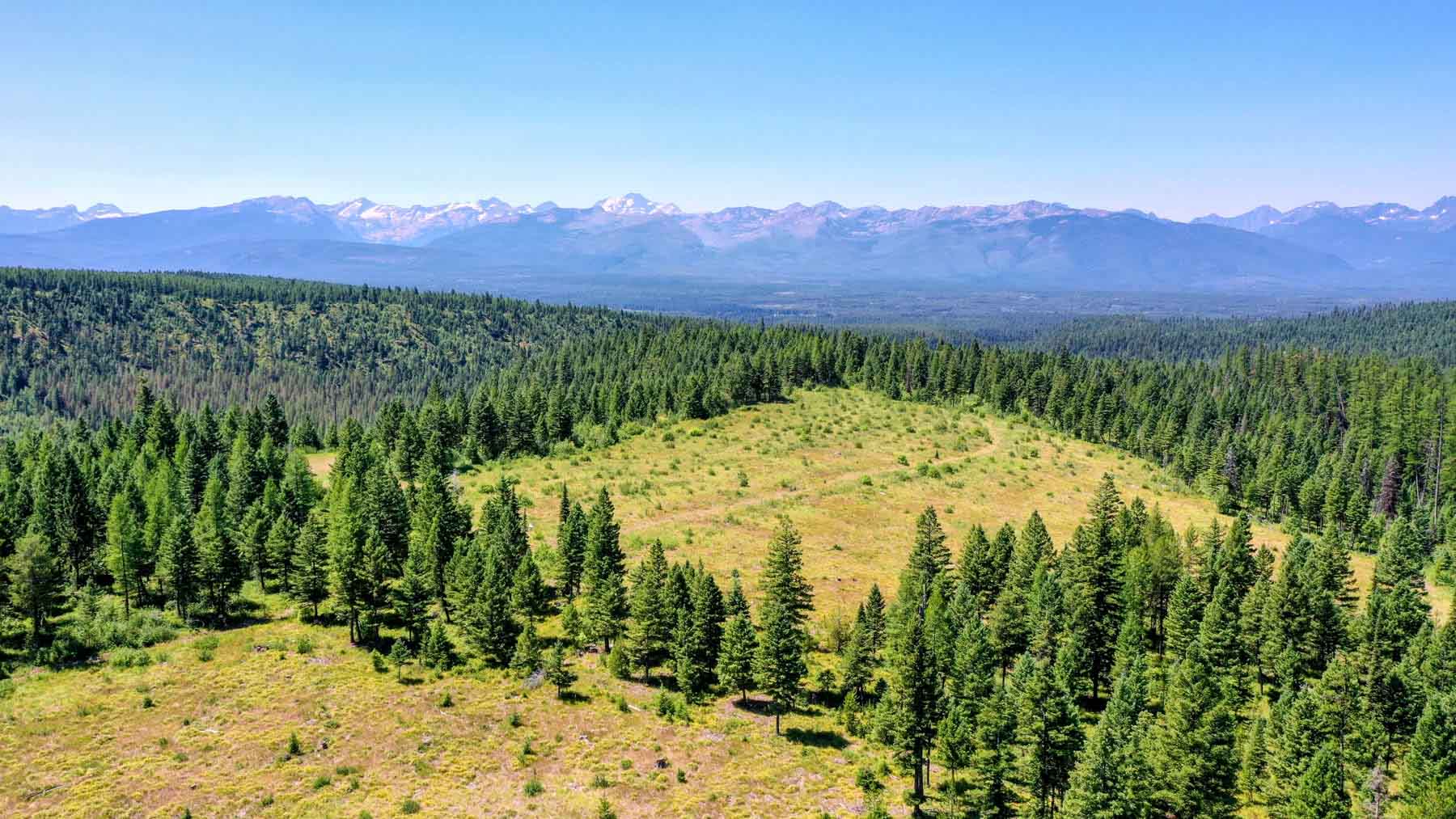 Holland Lake Overlook property picture 6 of 28