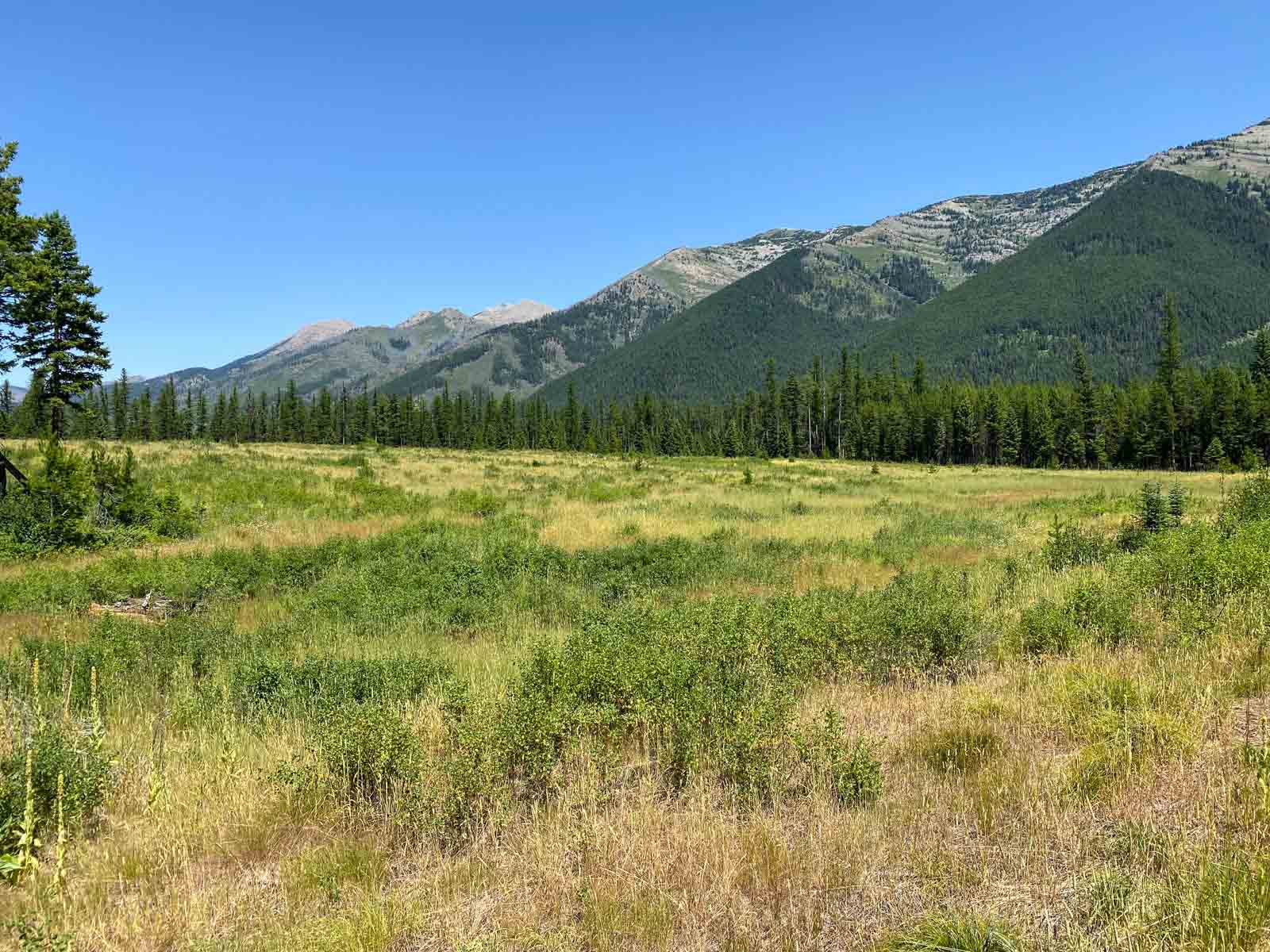 Holland Lake Overlook property picture 27 of 28