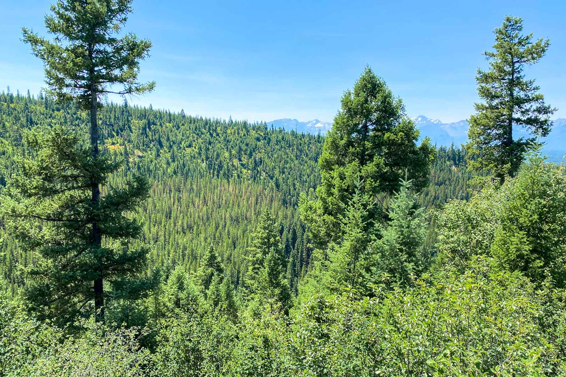 Holland Lake Overlook property picture 20 of 28