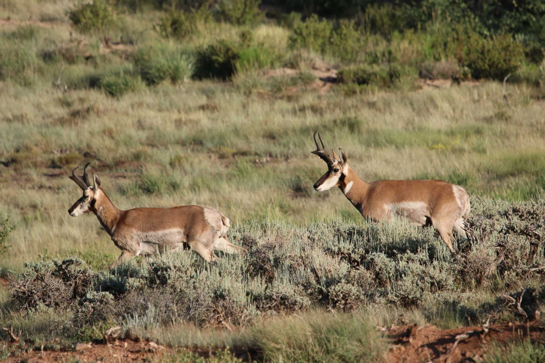 Rimrock Ranch property picture 4 of 32