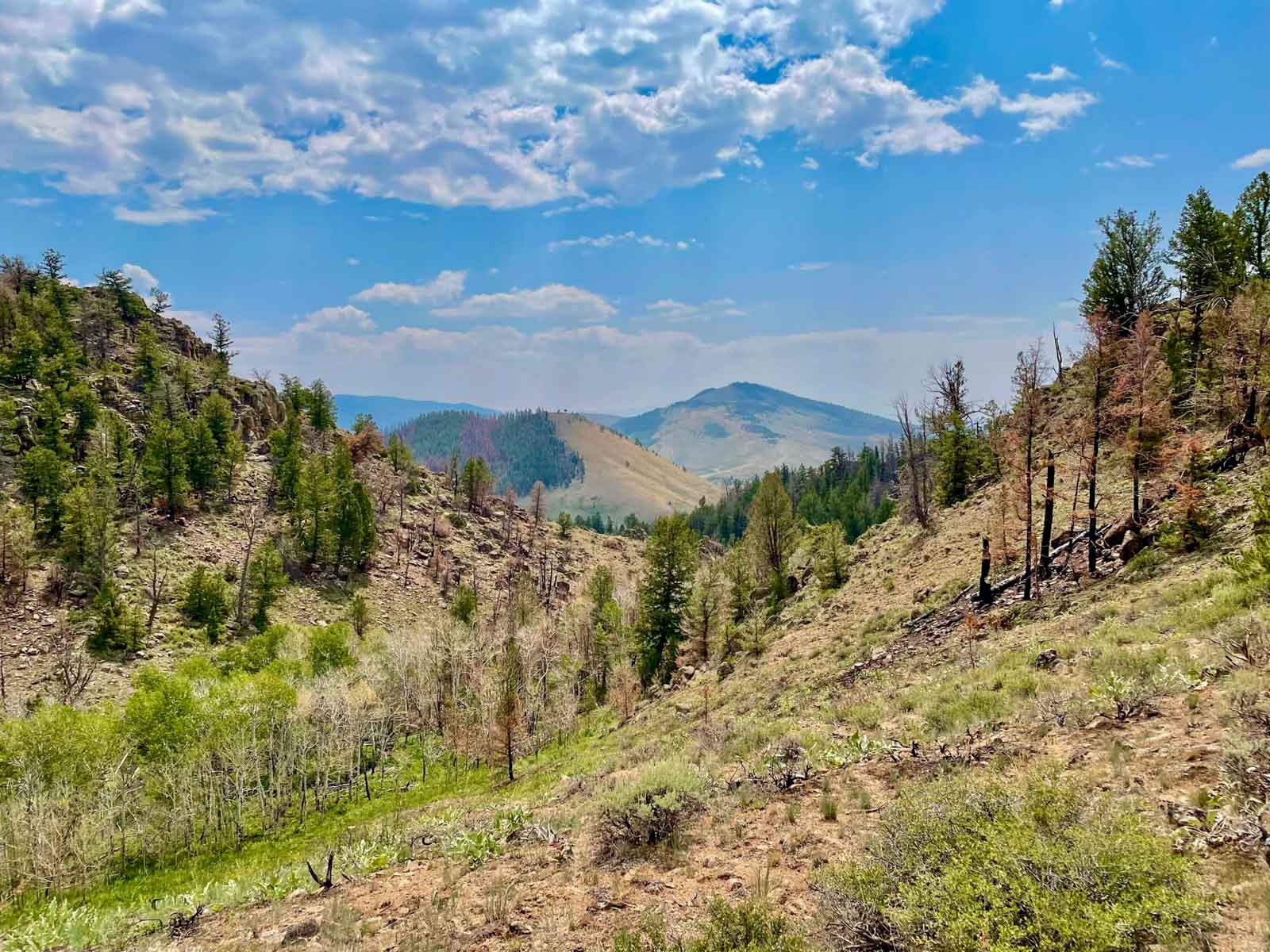 Rimrock Ranch property picture 24 of 32