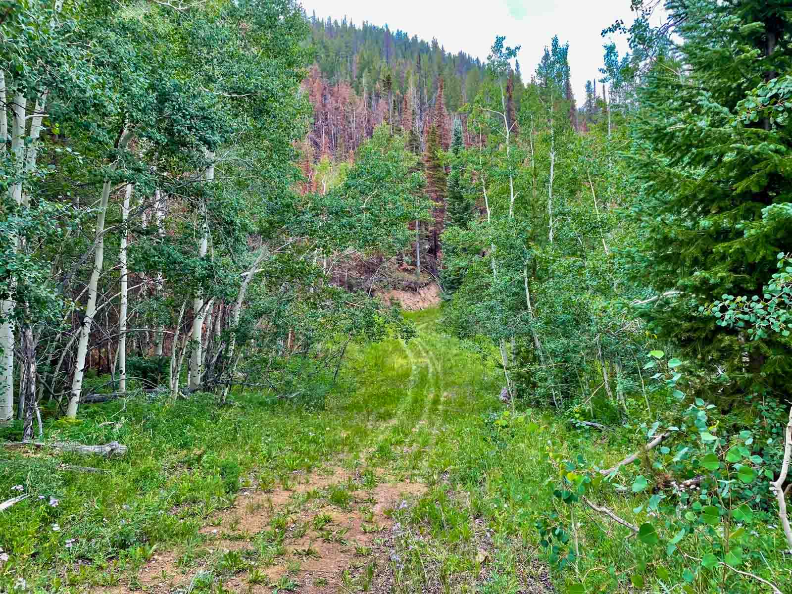 Rimrock Ranch property picture 20 of 32