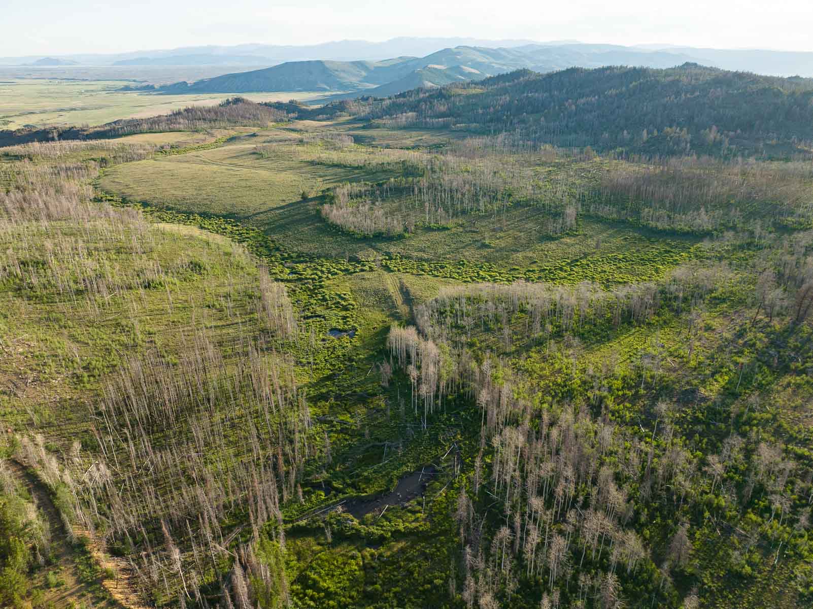 Rimrock Ranch property picture 26 of 32