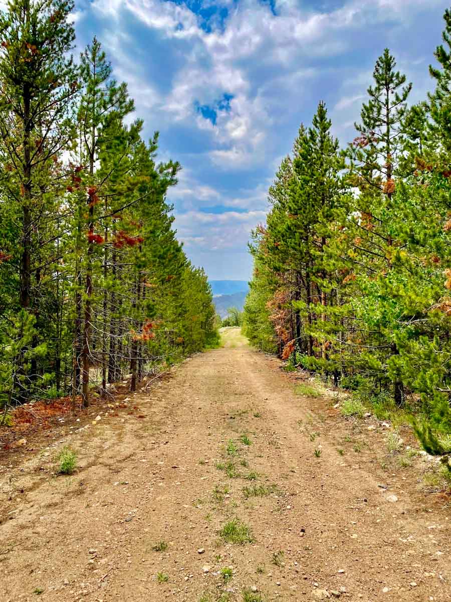 Rimrock Ranch property picture 15 of 32