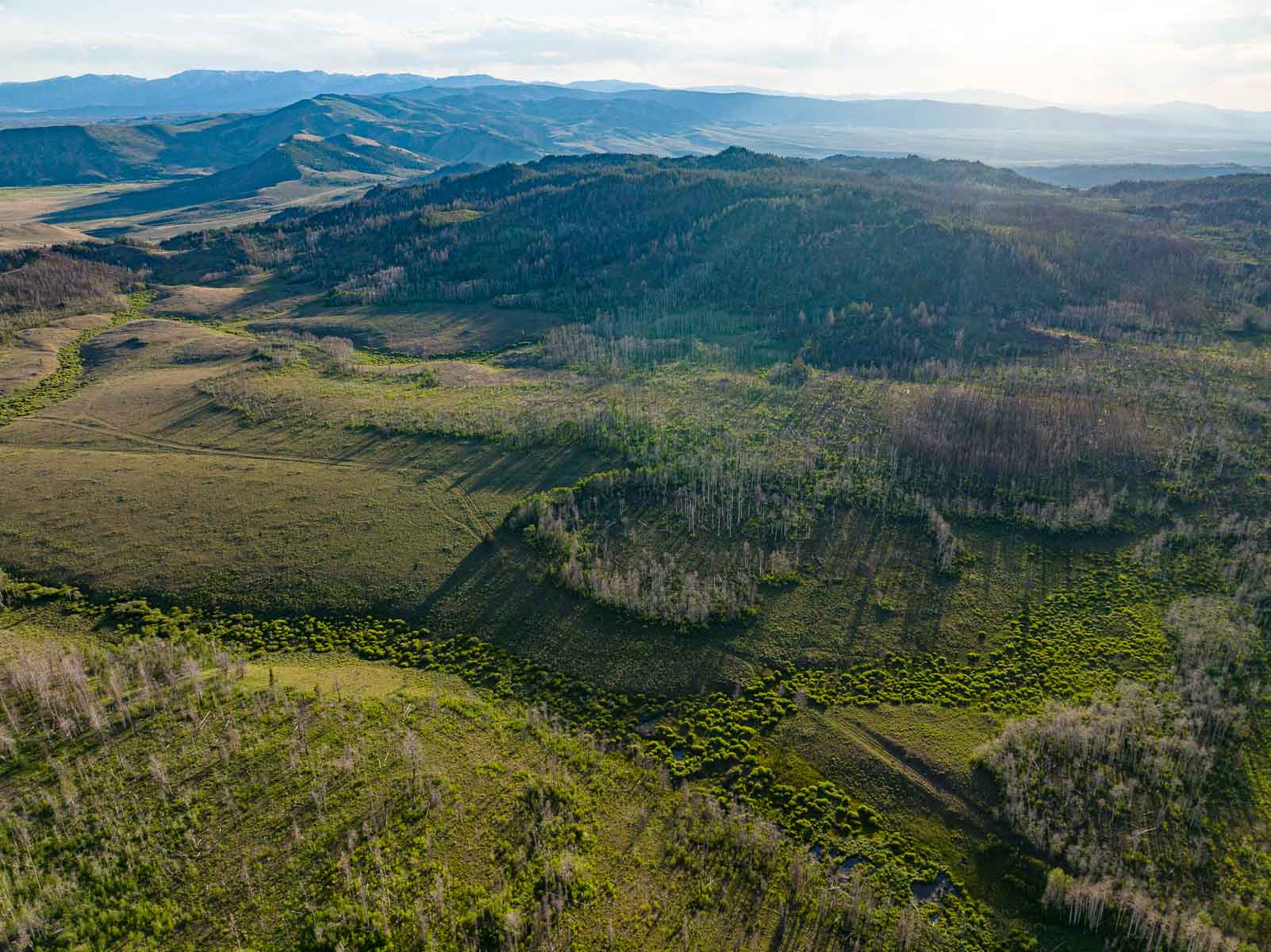 Rimrock Ranch property picture 7 of 32
