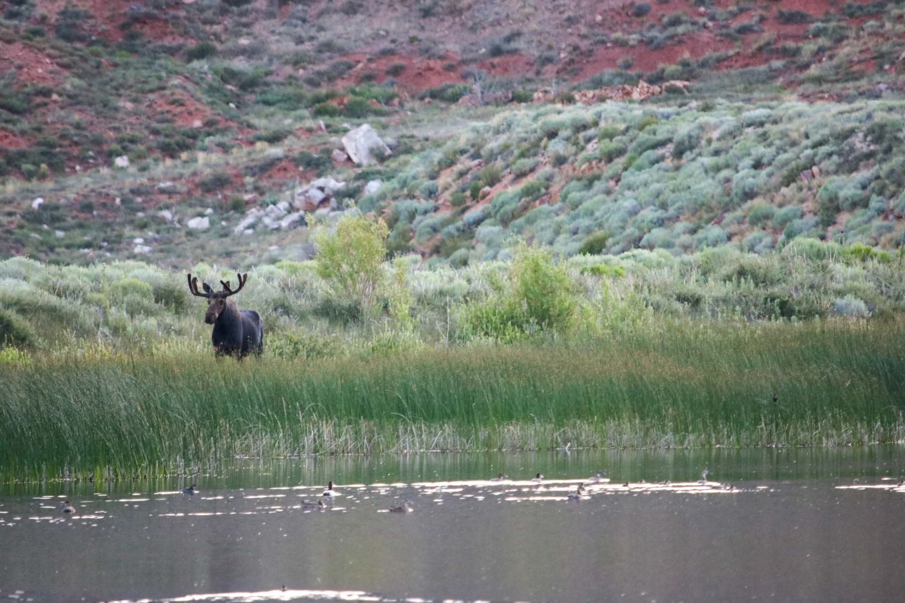 Rimrock Ranch property picture 31 of 32