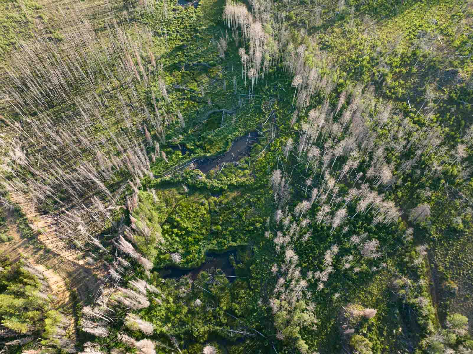 Rimrock Ranch property picture 11 of 32