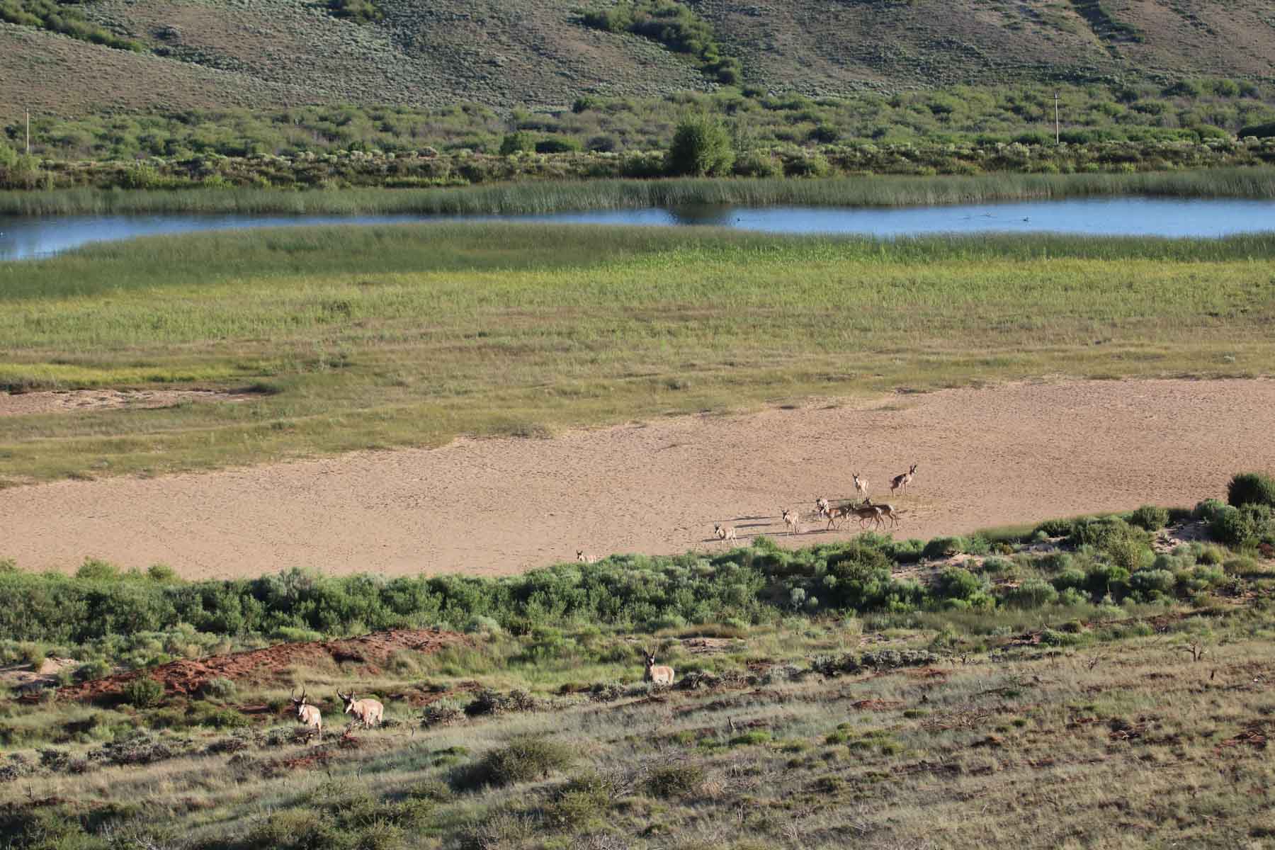 Rimrock Ranch property picture 32 of 32