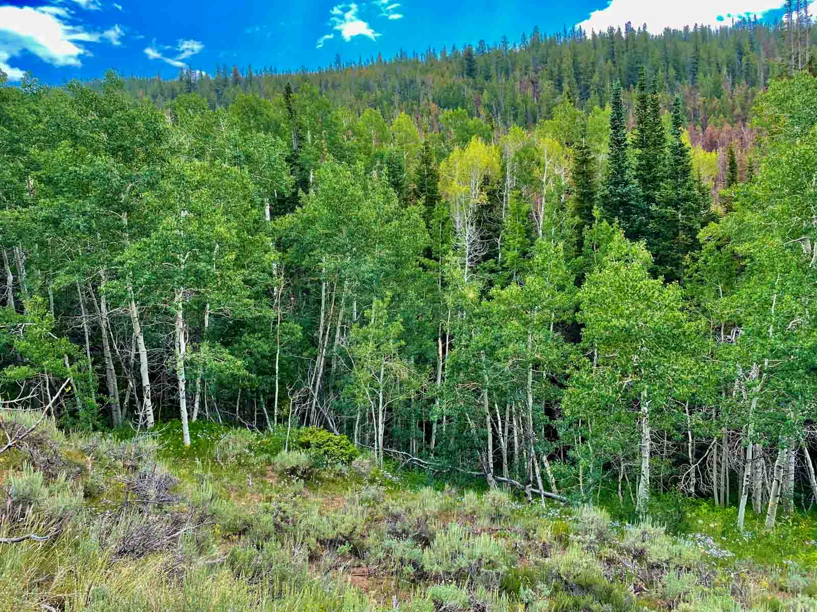 Rimrock Ranch property picture 2 of 32