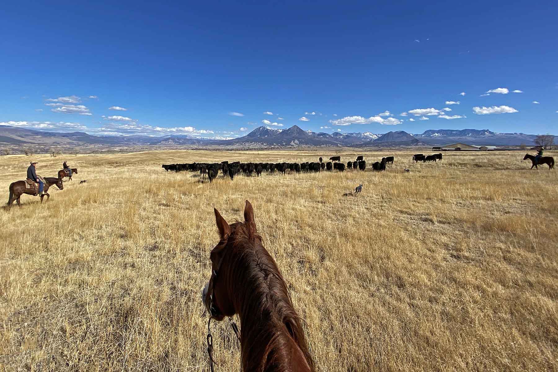 Scenic Mesa Ranch property picture 51 of 76