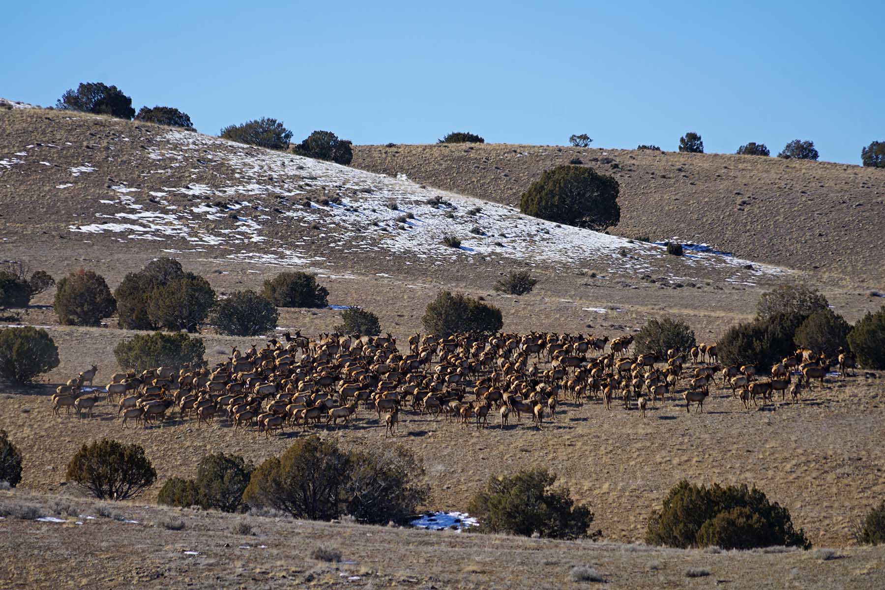 Scenic Mesa Ranch property picture 49 of 76