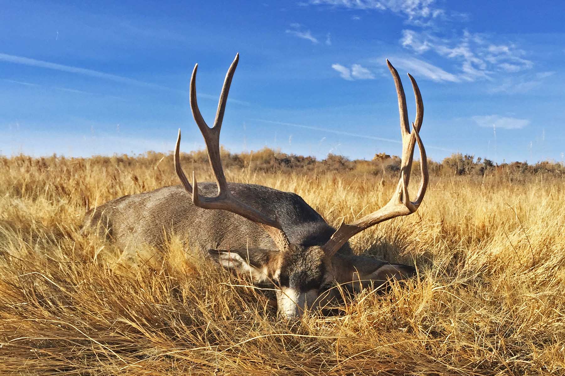 Scenic Mesa Ranch property picture 48 of 76