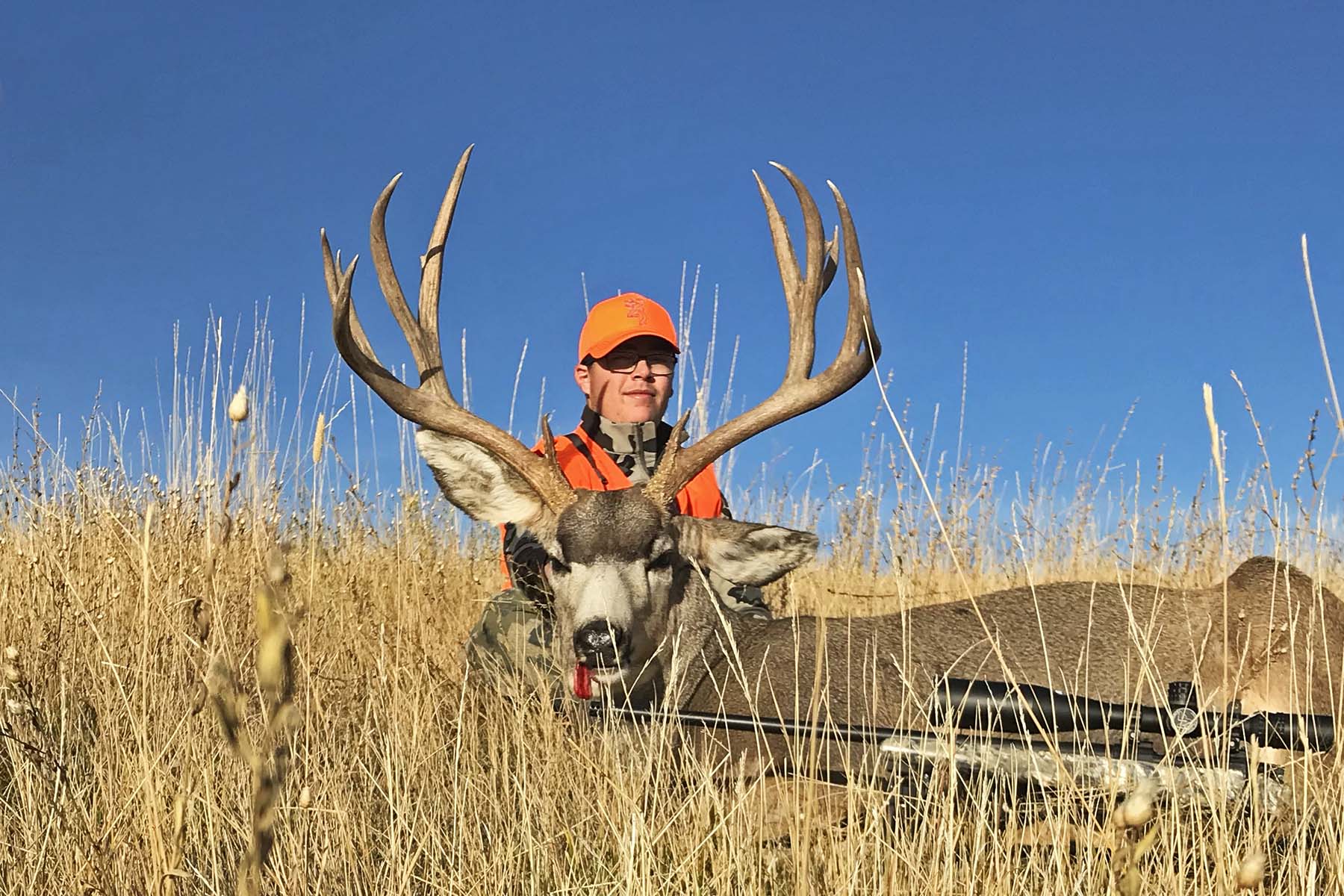 Scenic Mesa Ranch property picture 10 of 76