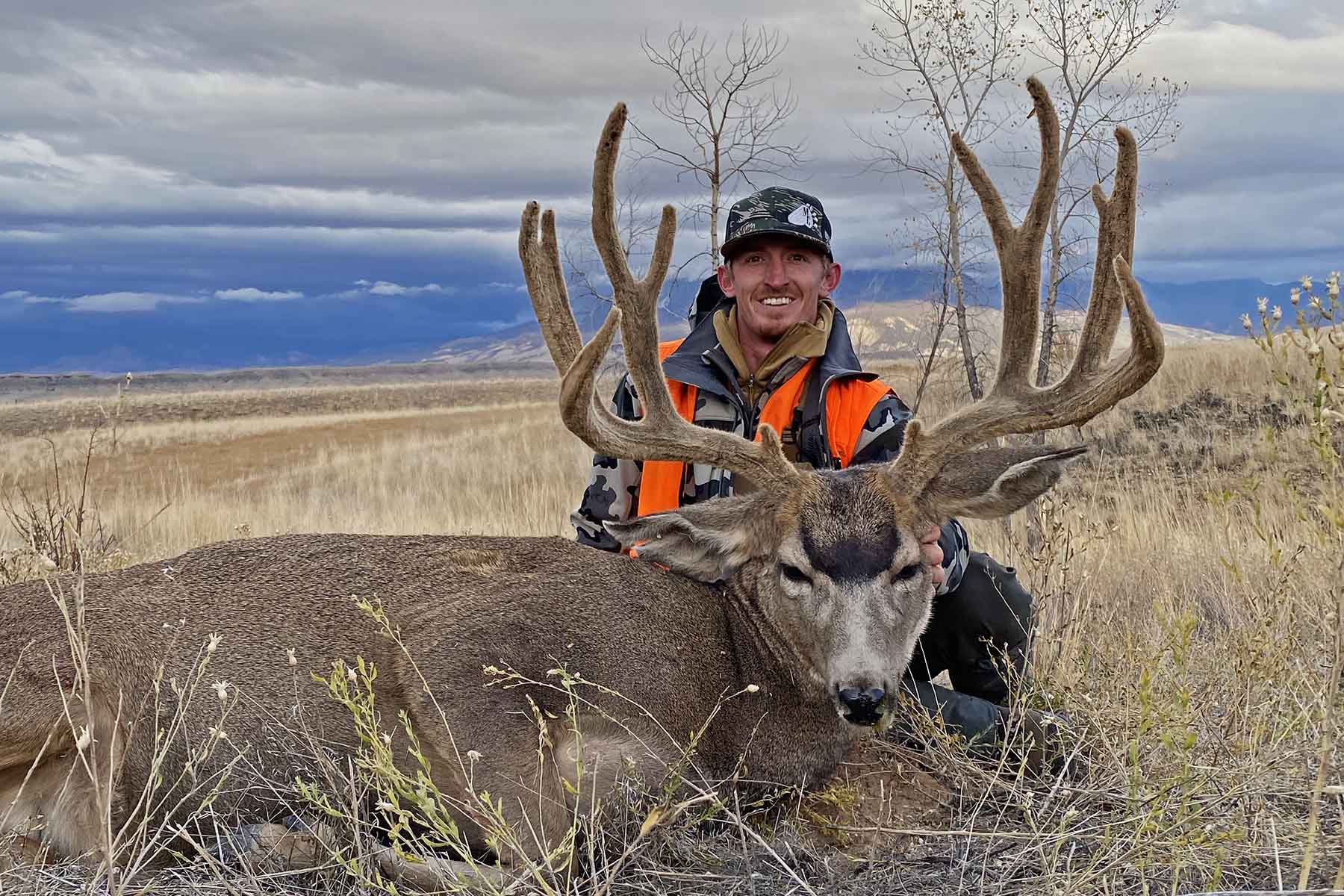 Scenic Mesa Ranch property picture 22 of 76