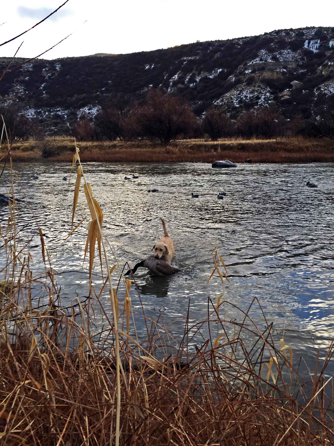 Scenic Mesa Ranch property picture 35 of 76