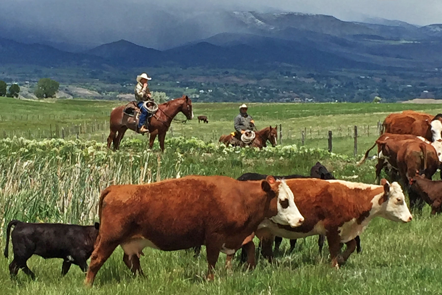 Scenic Mesa Ranch property picture 47 of 76