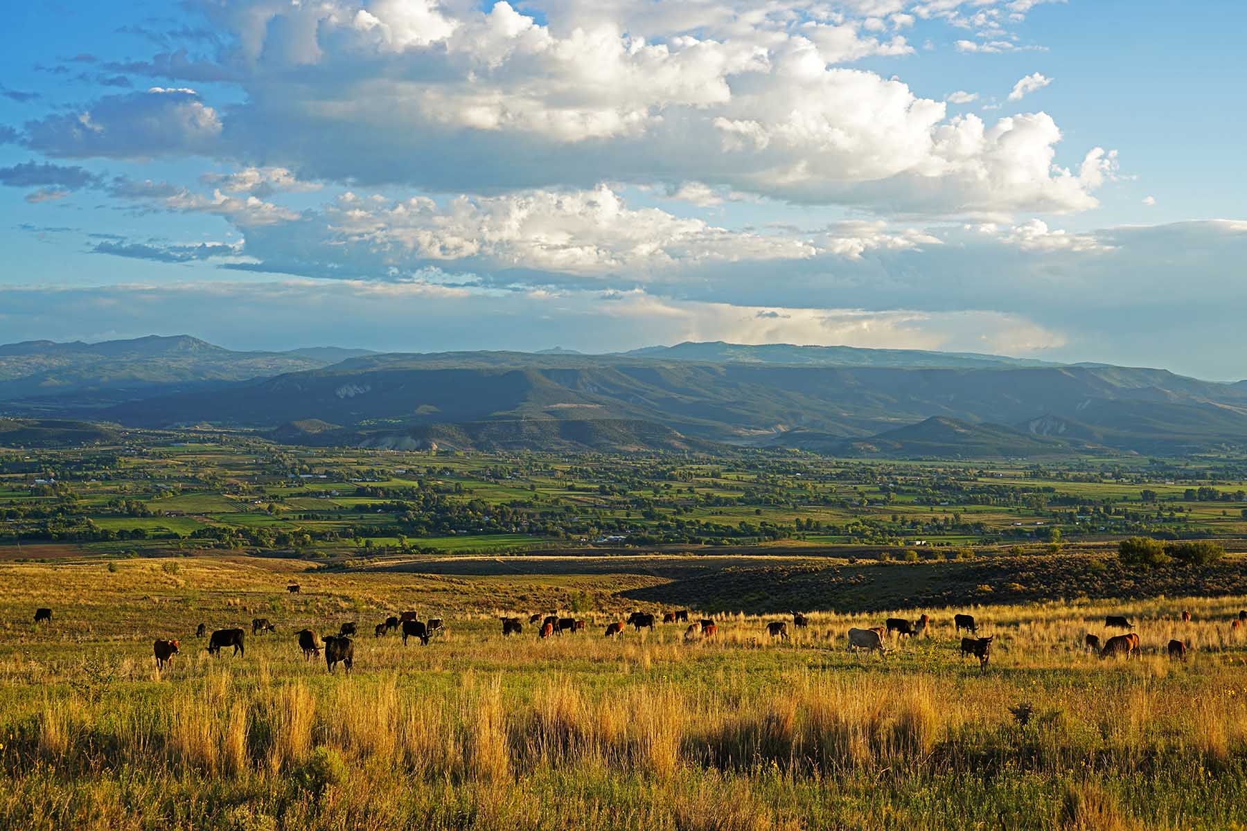 Scenic Mesa Ranch property picture 4 of 76
