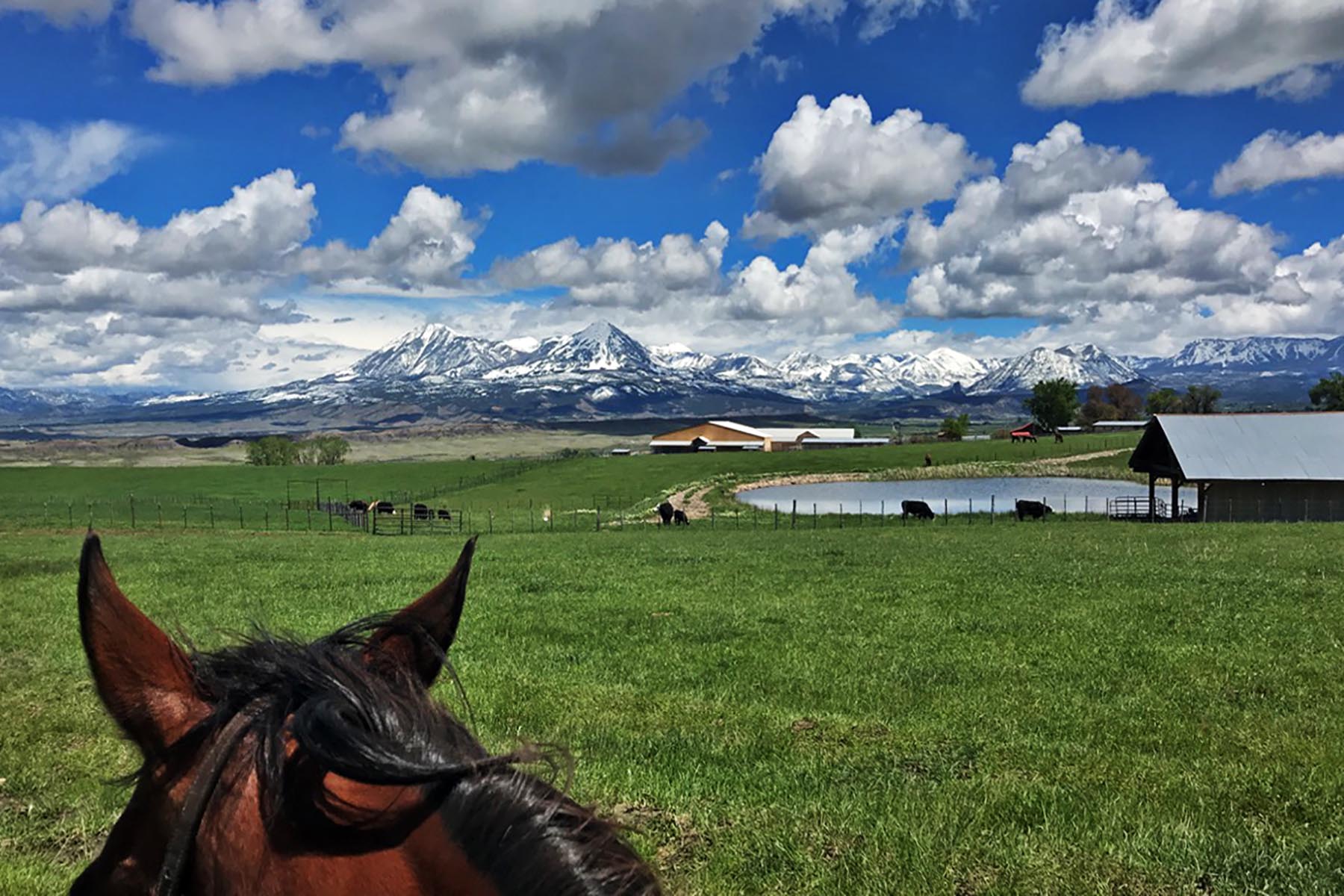 Scenic Mesa Ranch property picture 39 of 76
