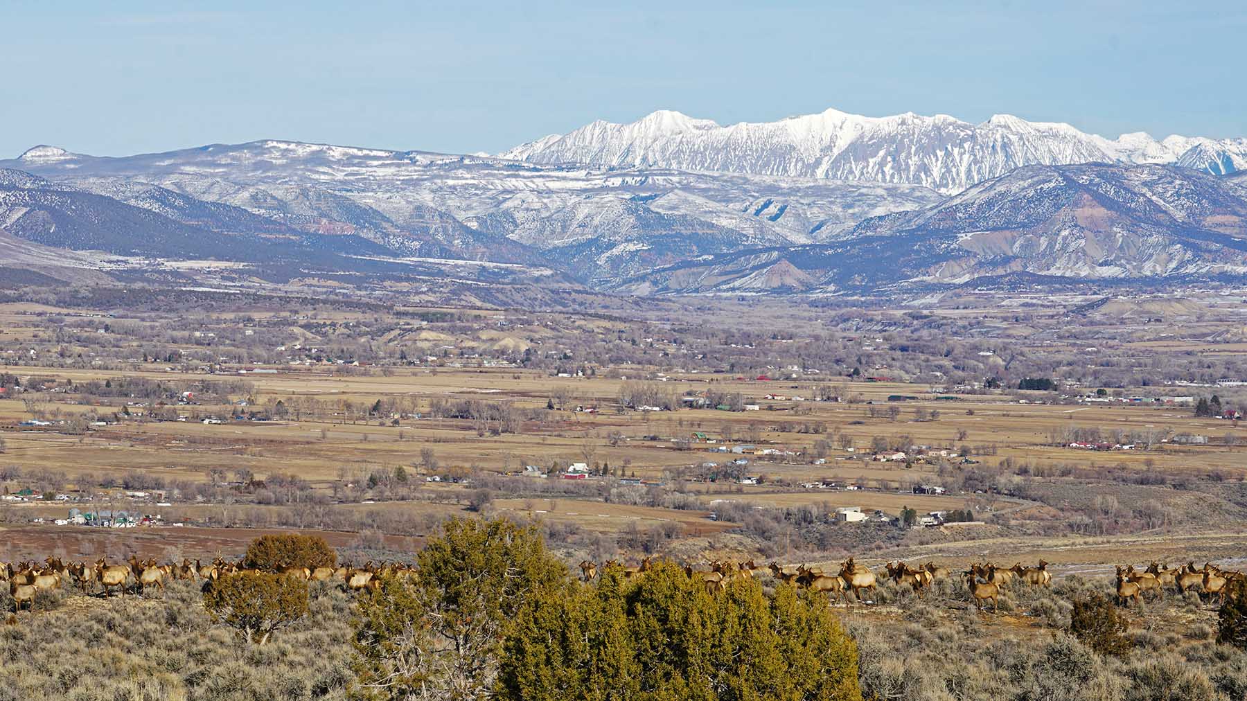 Scenic Mesa Ranch property picture 20 of 76
