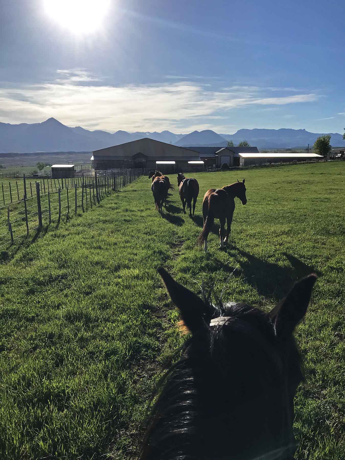 Scenic Mesa Ranch property picture 57 of 76