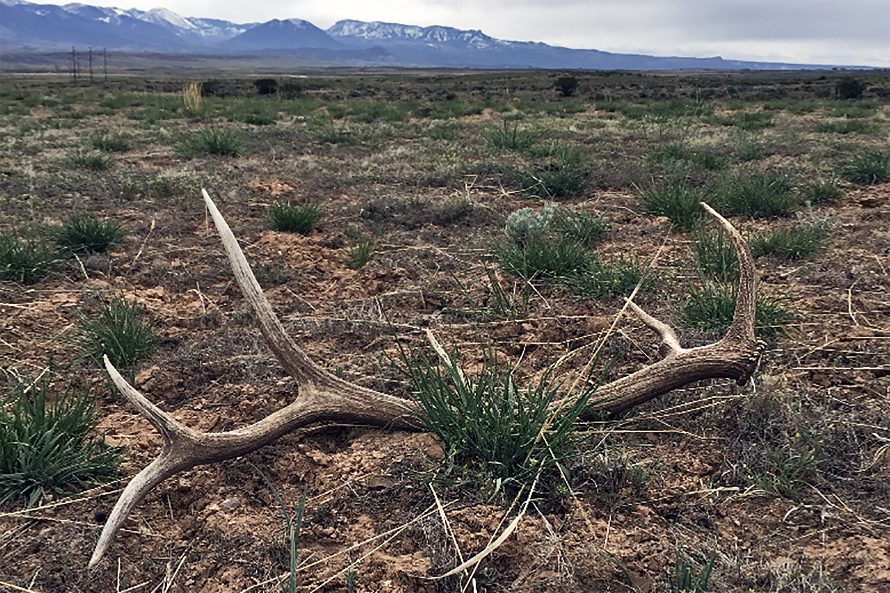 Scenic Mesa Ranch property picture 50 of 76