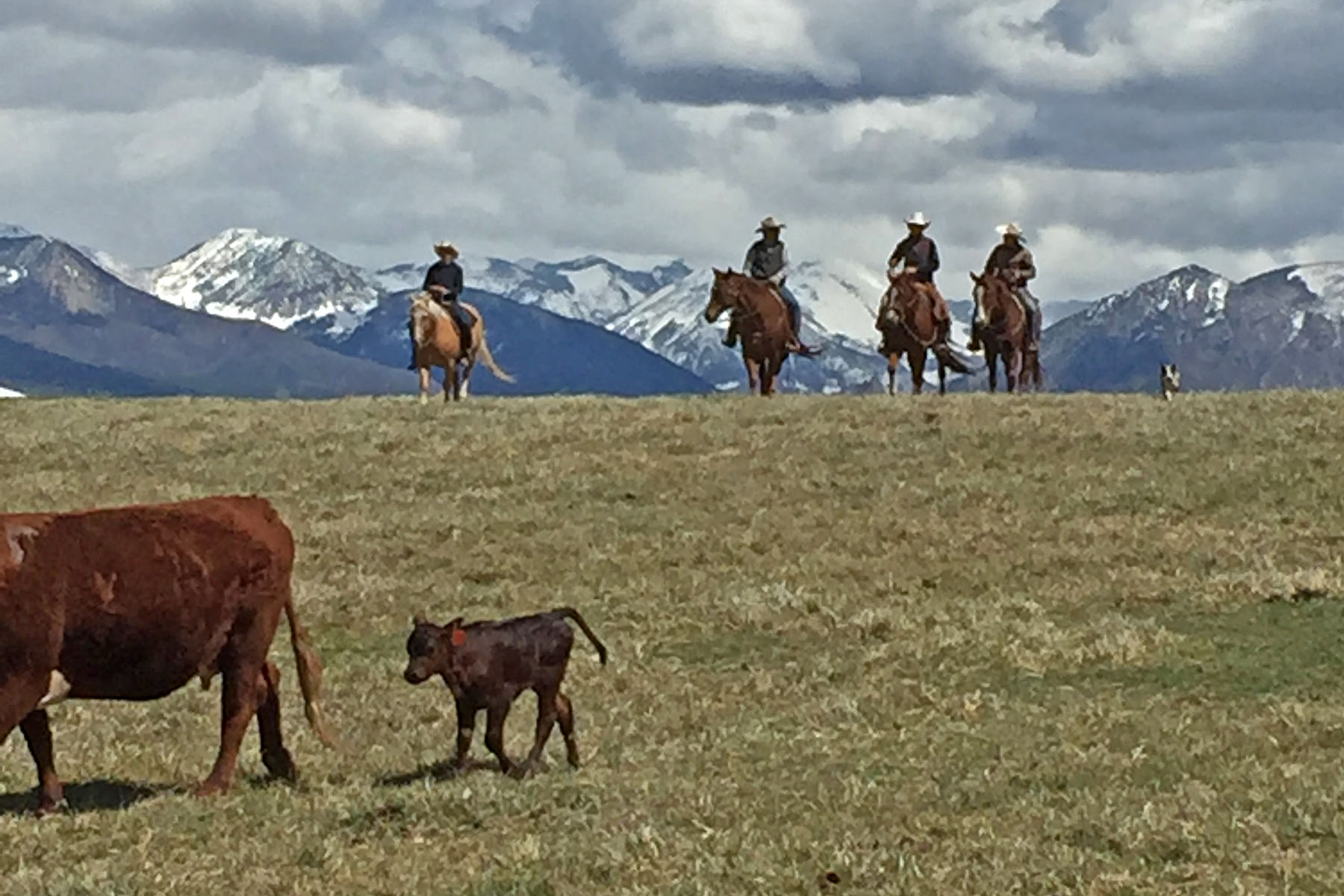 Scenic Mesa Ranch property picture 44 of 76