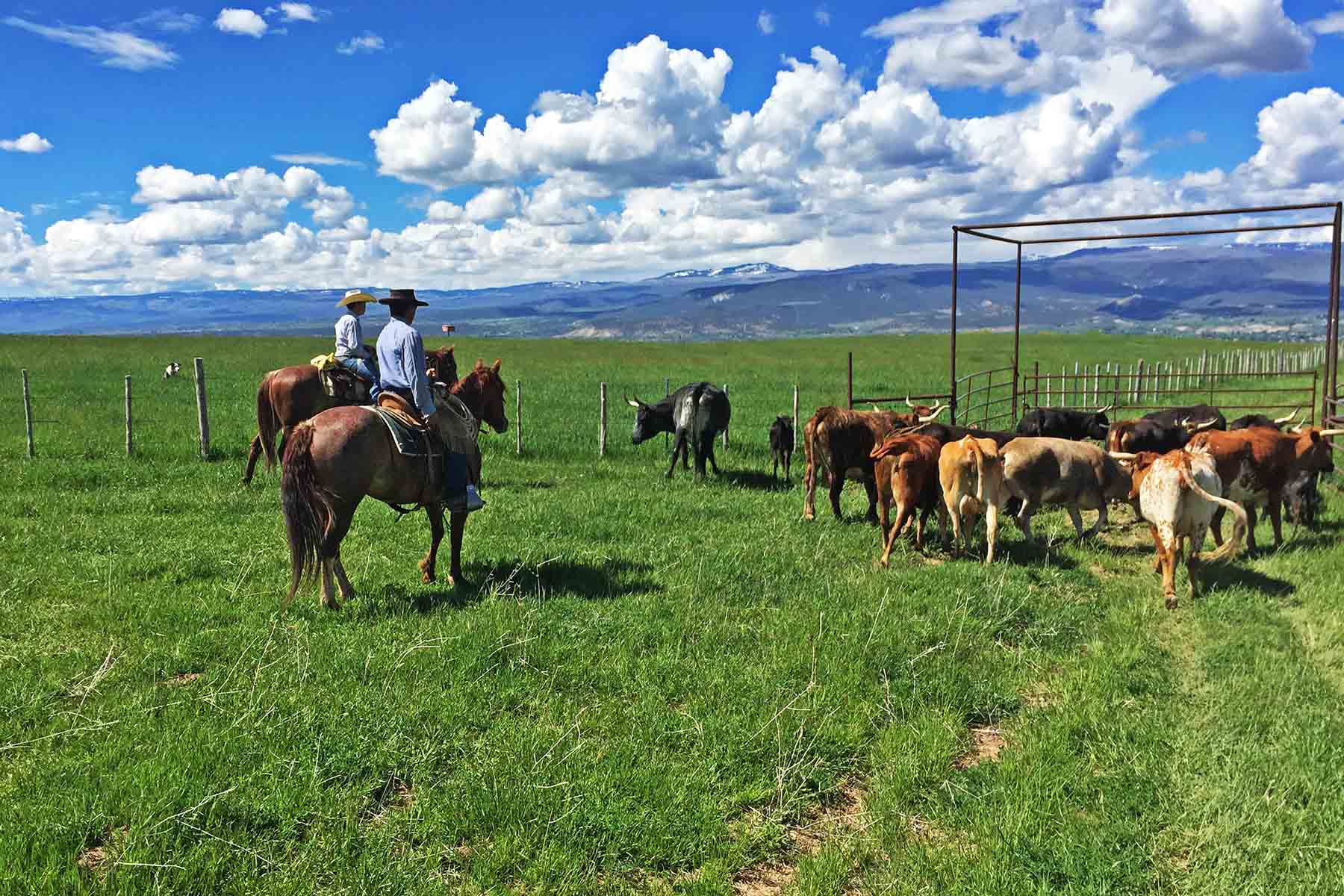 Scenic Mesa Ranch property picture 33 of 76