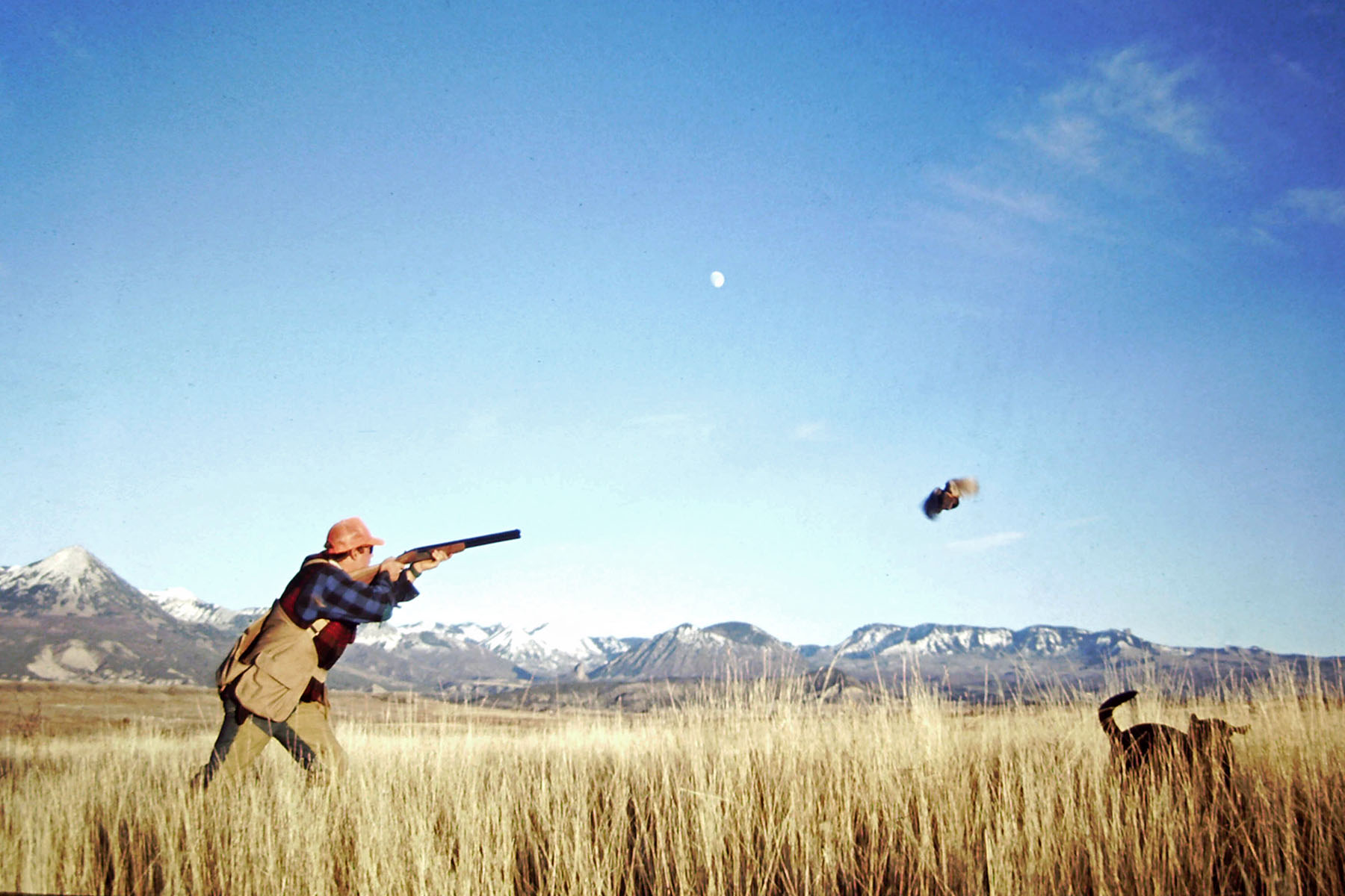 Scenic Mesa Ranch property picture 74 of 76