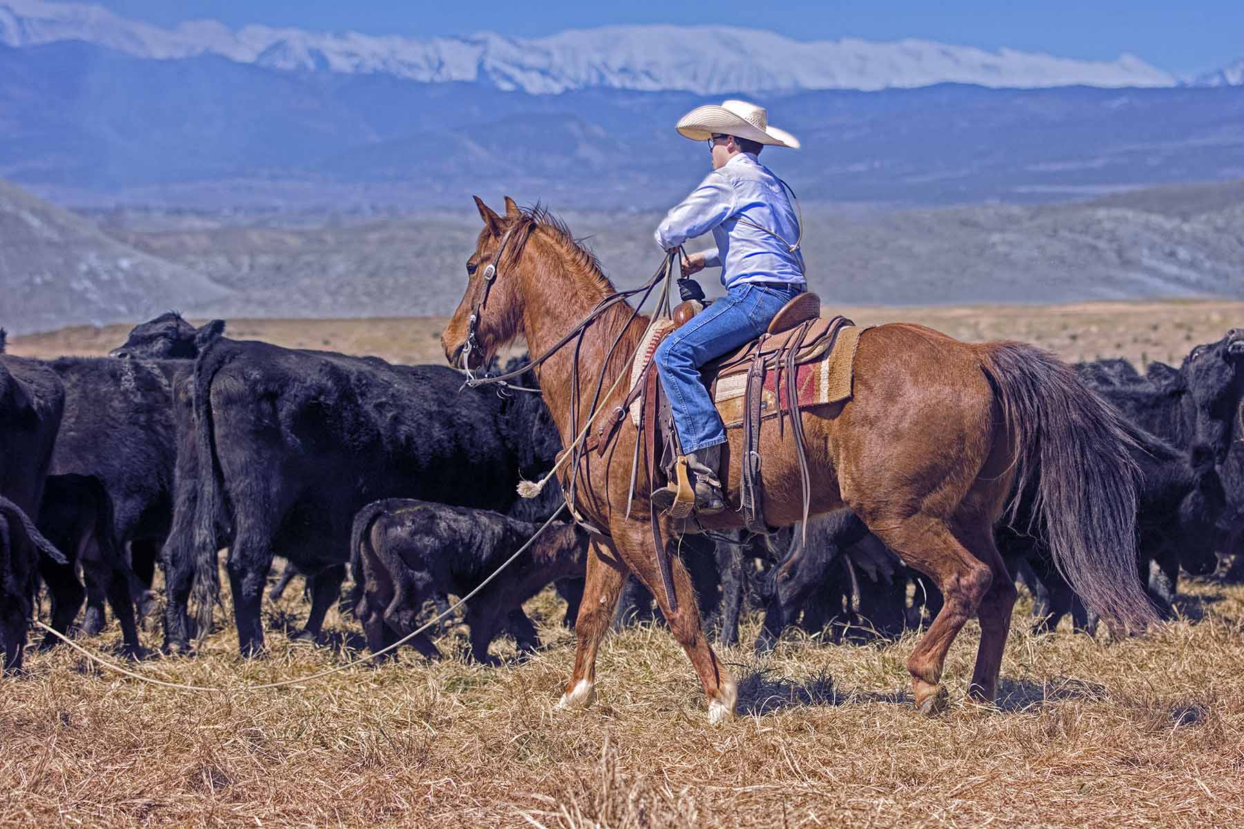 Scenic Mesa Ranch property picture 46 of 76