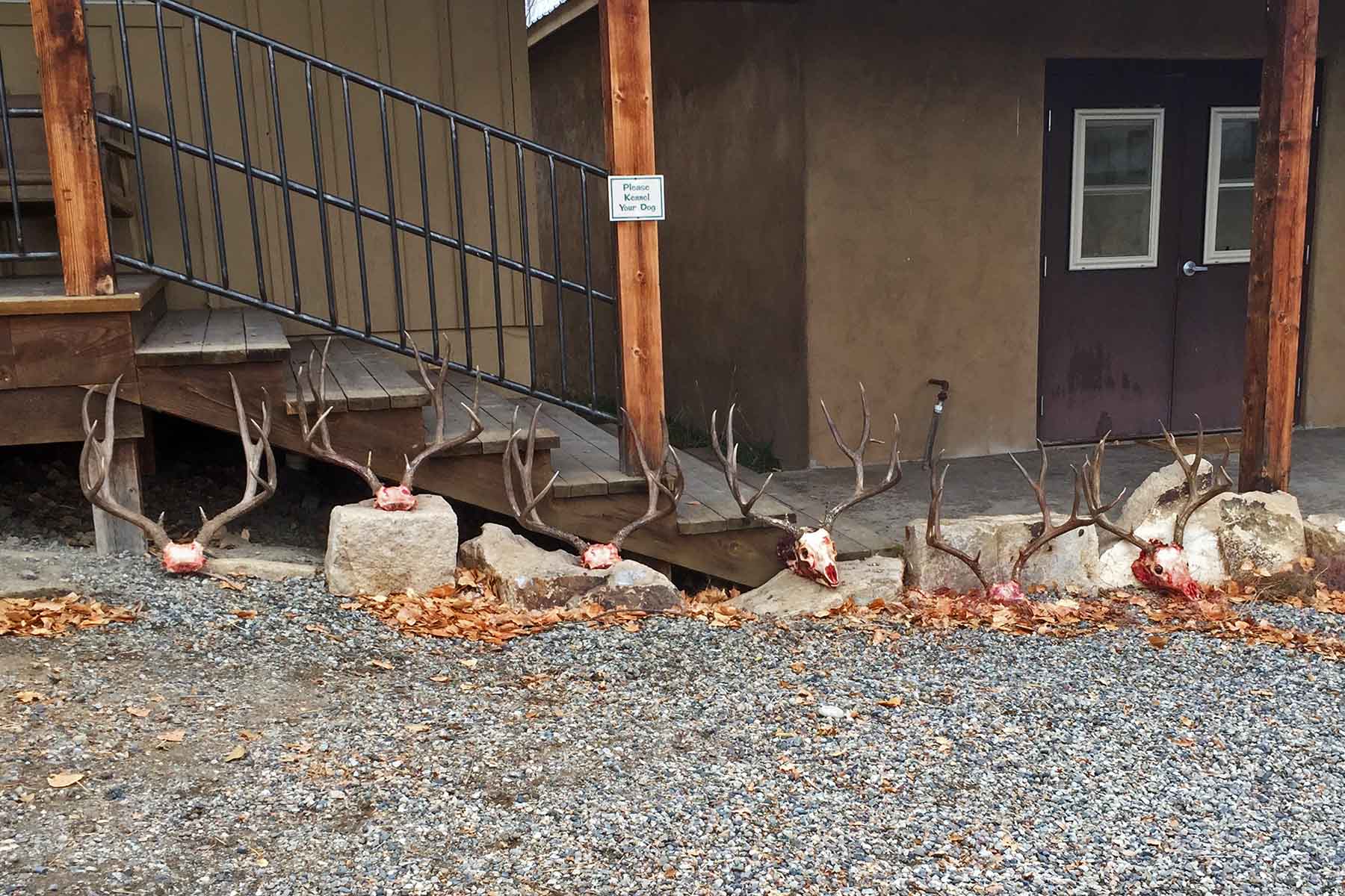 Scenic Mesa Ranch property picture 26 of 76