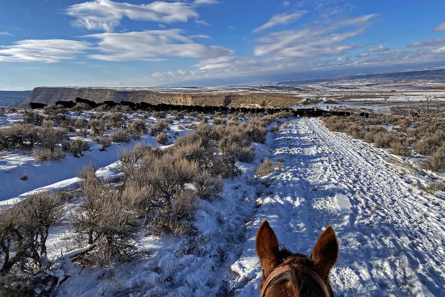 Scenic Mesa Ranch property picture 54 of 76
