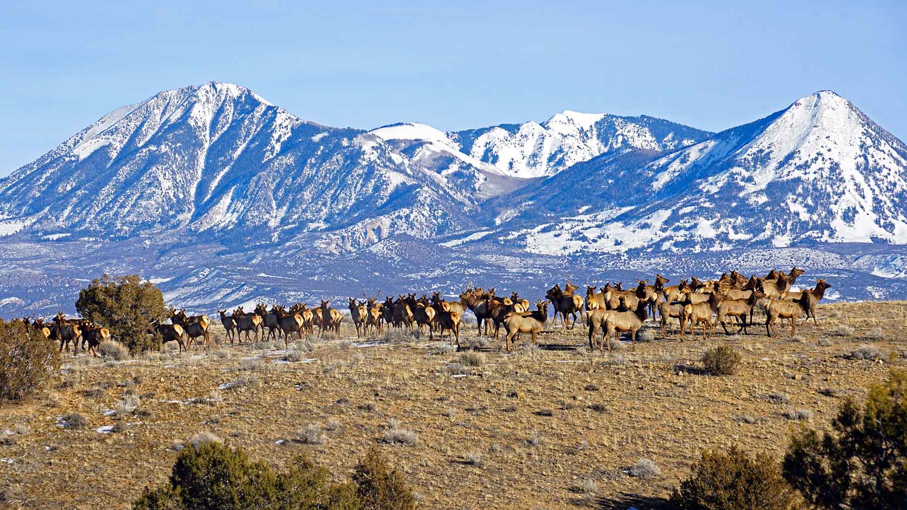 Scenic Mesa Ranch property picture 6 of 76
