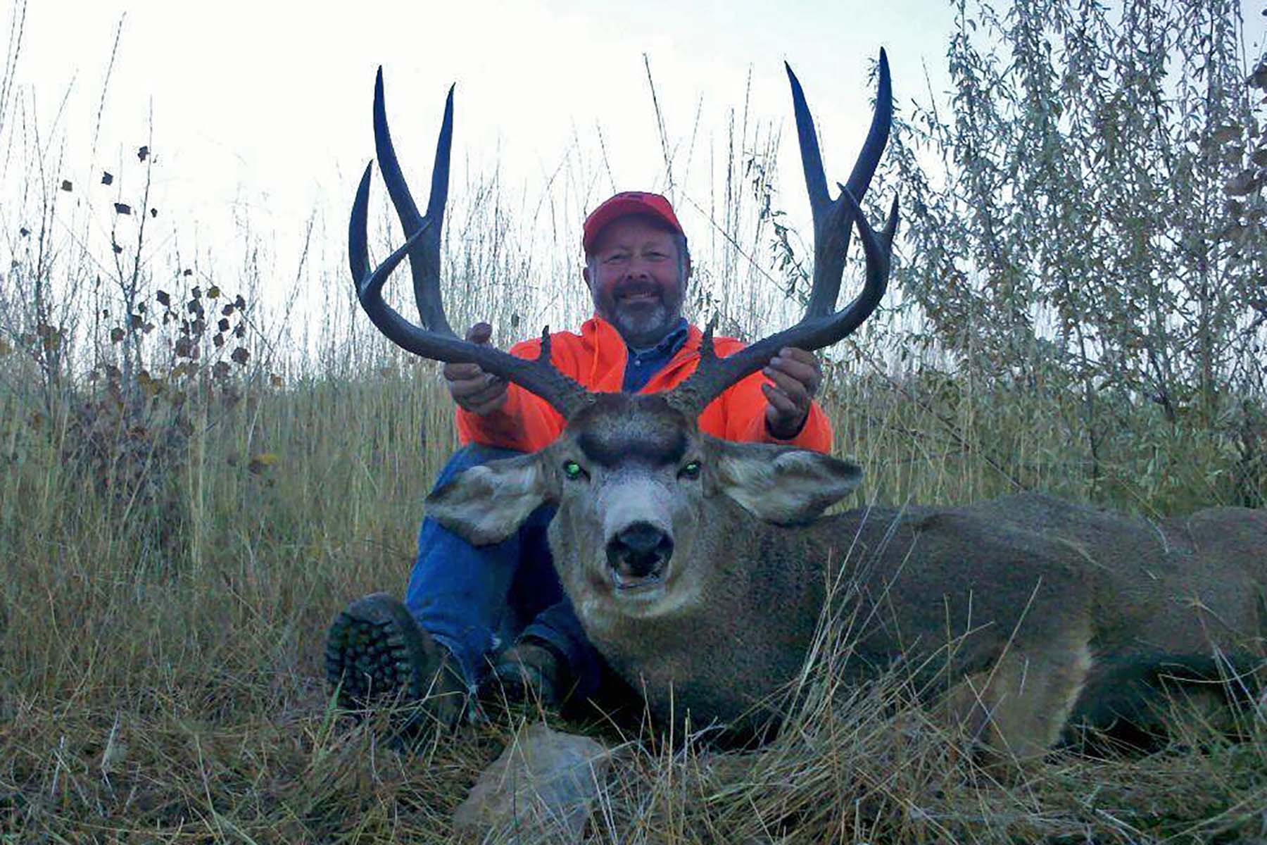 Scenic Mesa Ranch property picture 53 of 76