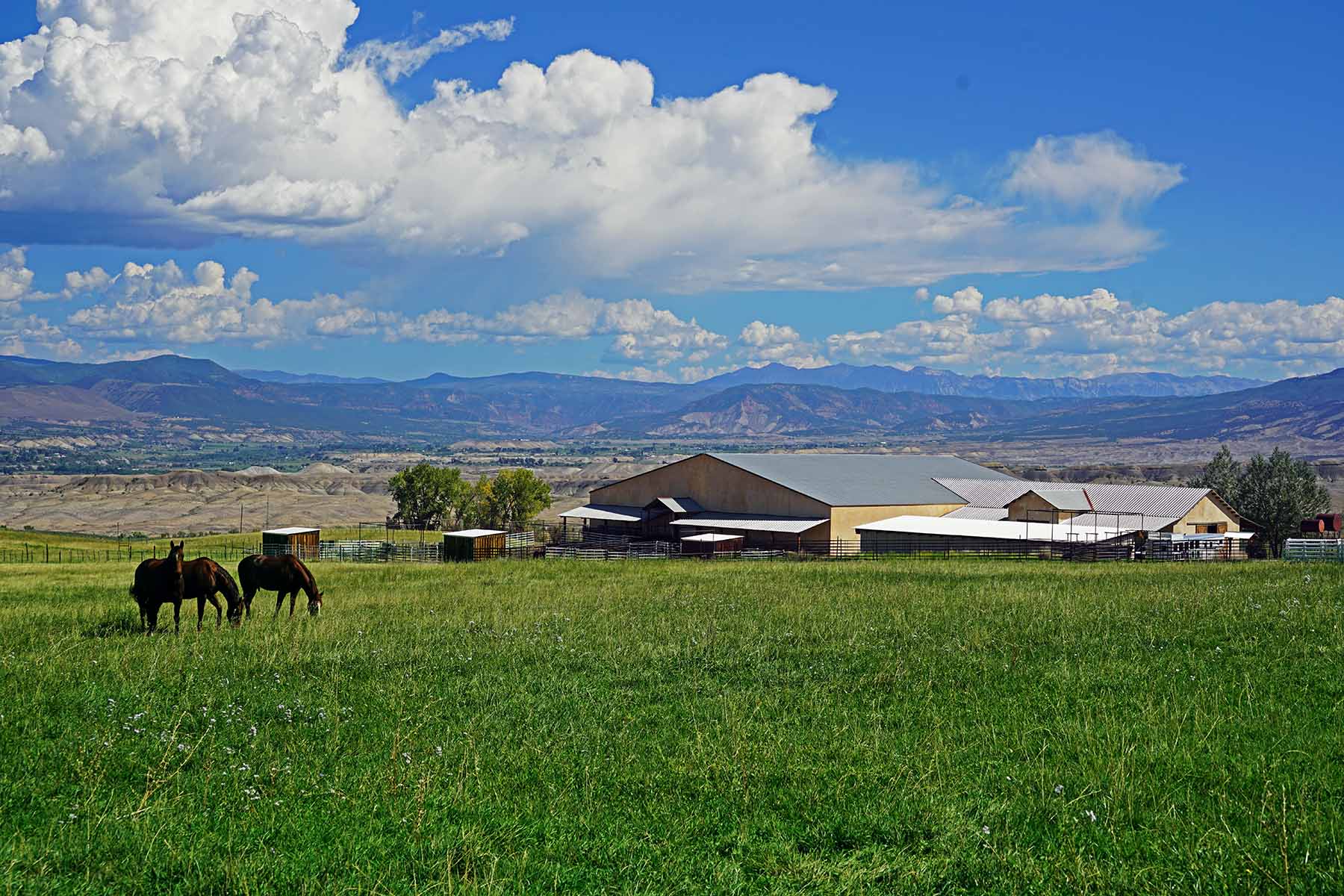Scenic Mesa Ranch property picture 9 of 76