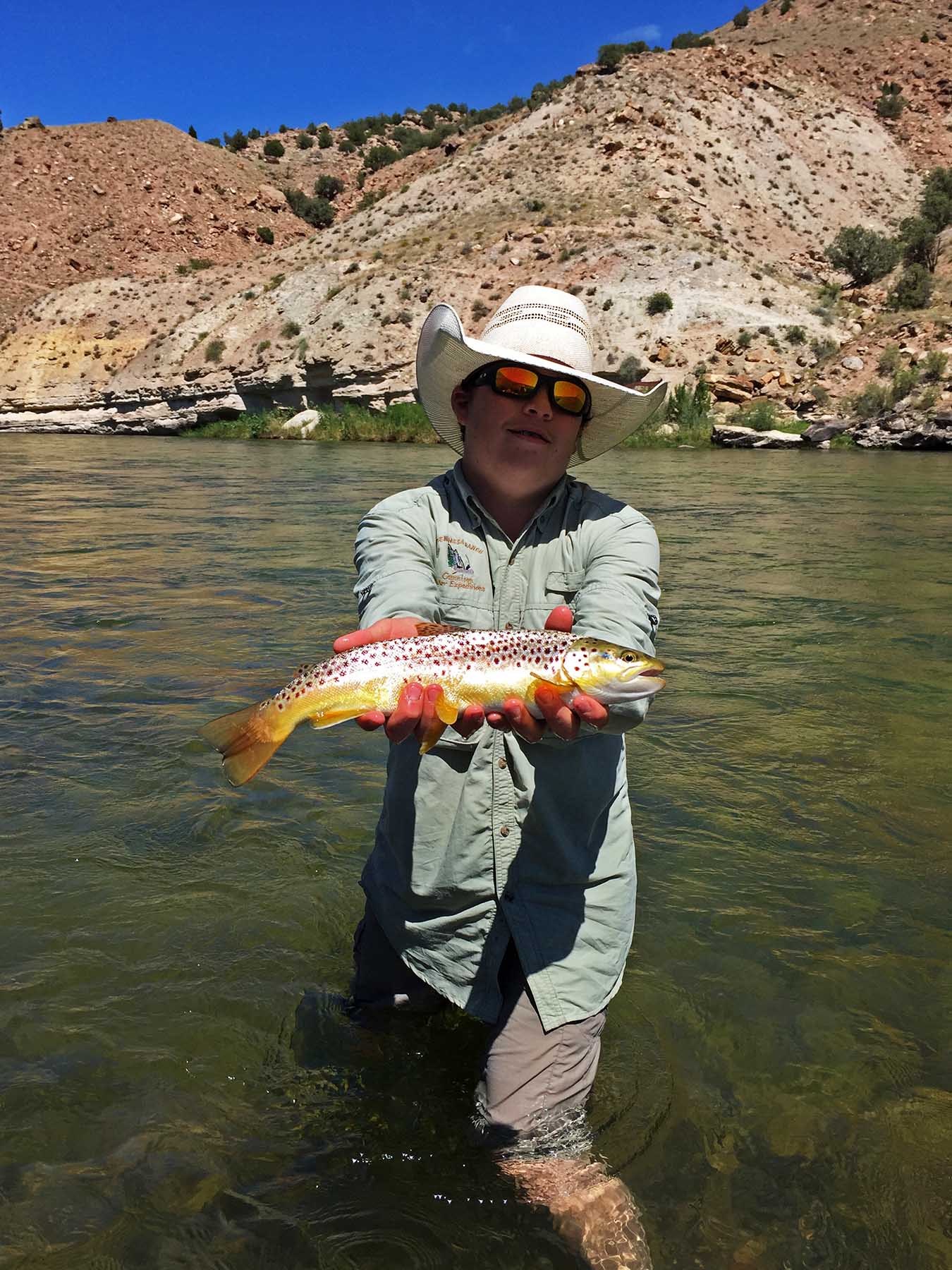 Scenic Mesa Ranch property picture 16 of 76