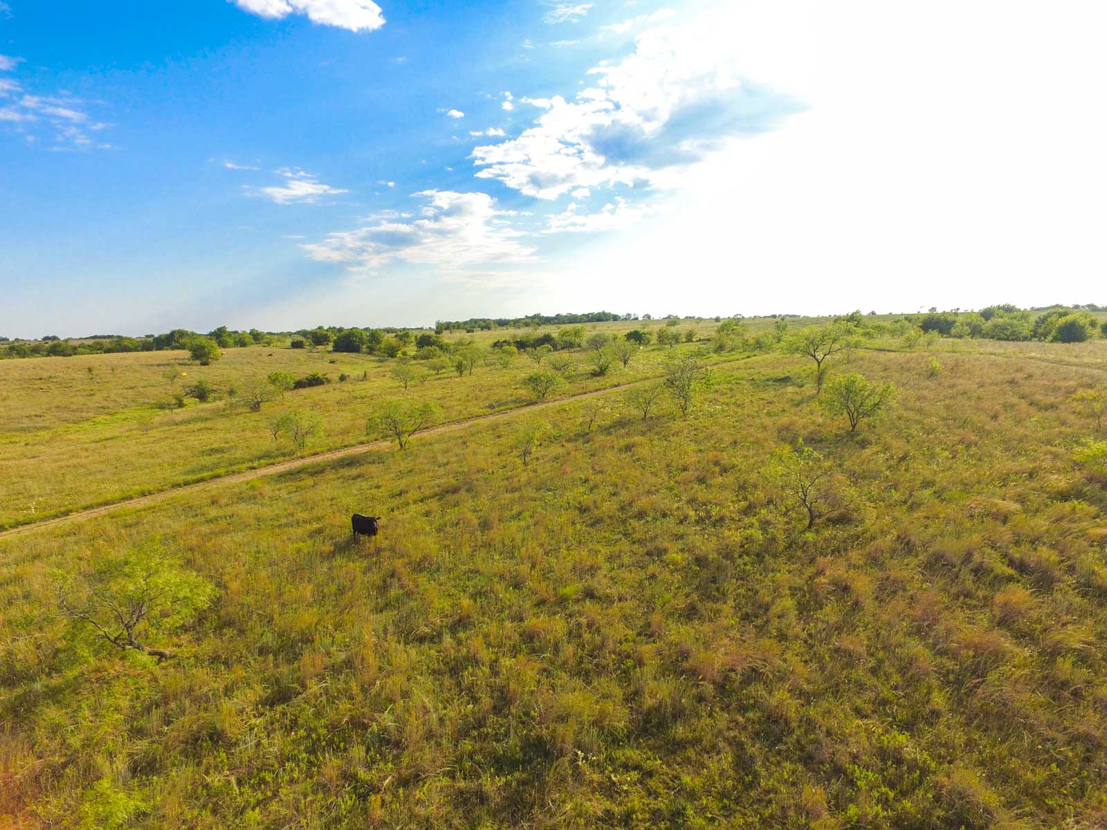 Stewart Ranch property picture 58 of 77