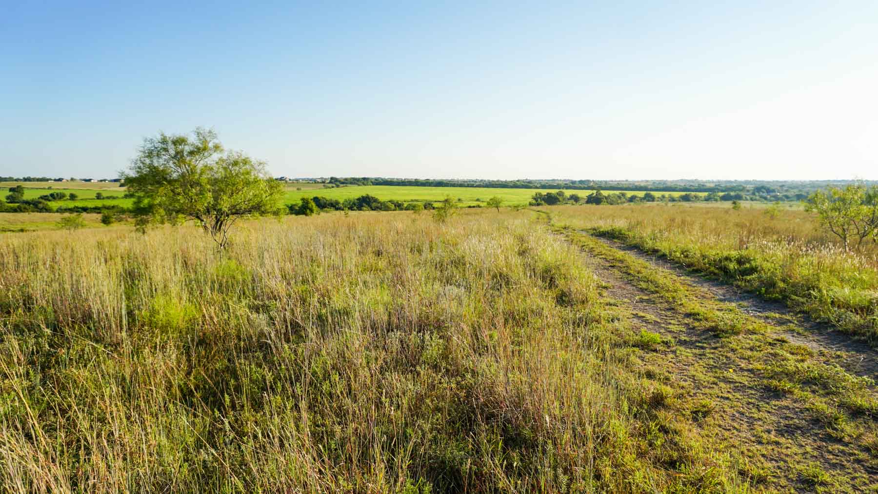 Stewart Ranch property picture 46 of 77