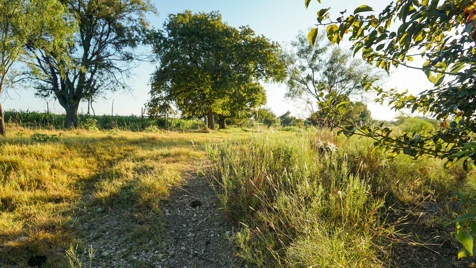 Stewart Ranch property picture 42 of 77