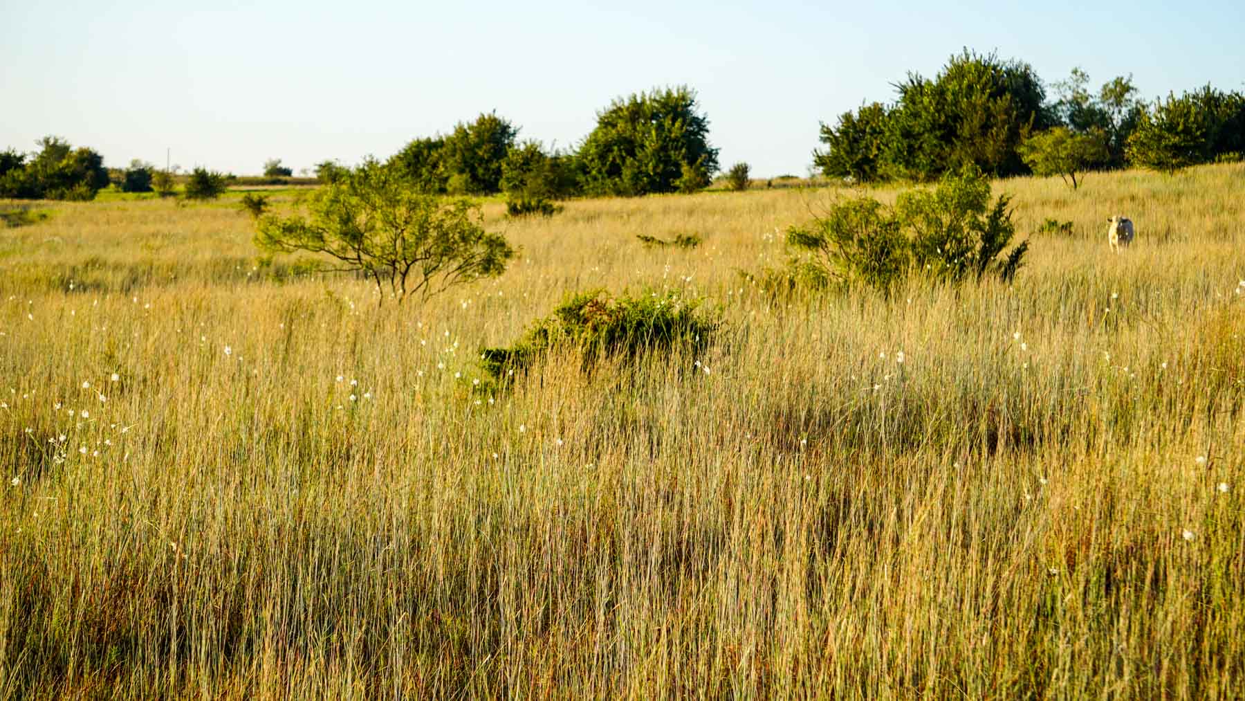 Stewart Ranch property picture 15 of 77