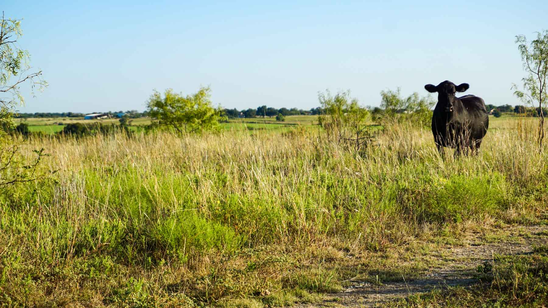 Stewart Ranch property picture 29 of 77