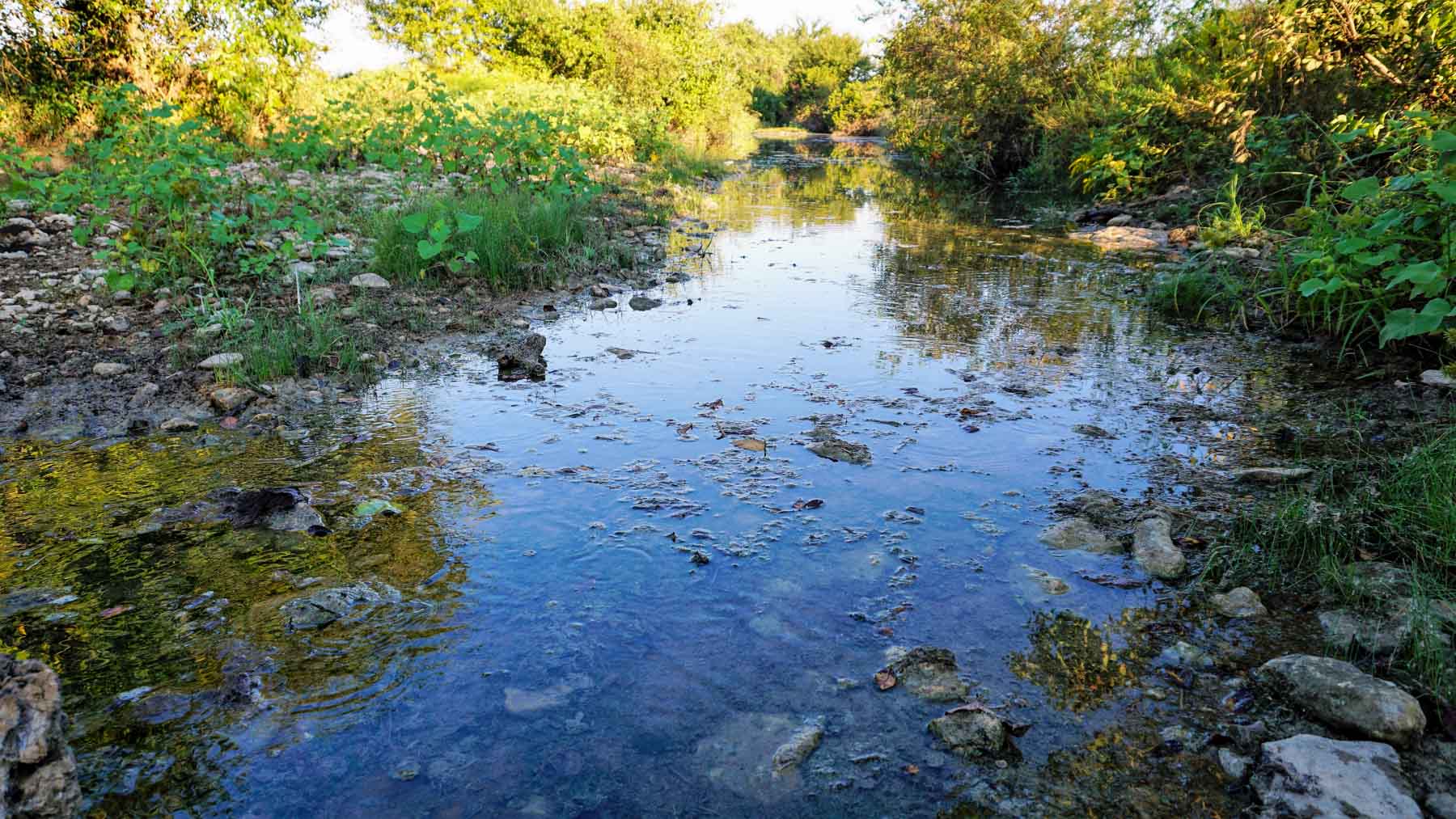 Stewart Ranch property picture 4 of 77