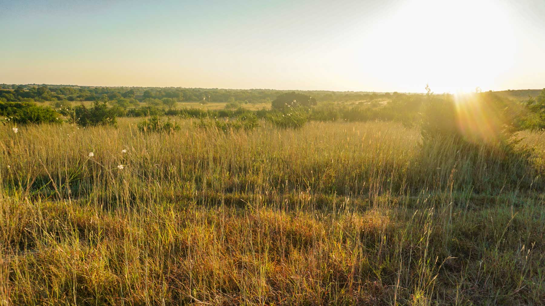 Stewart Ranch property picture 16 of 77
