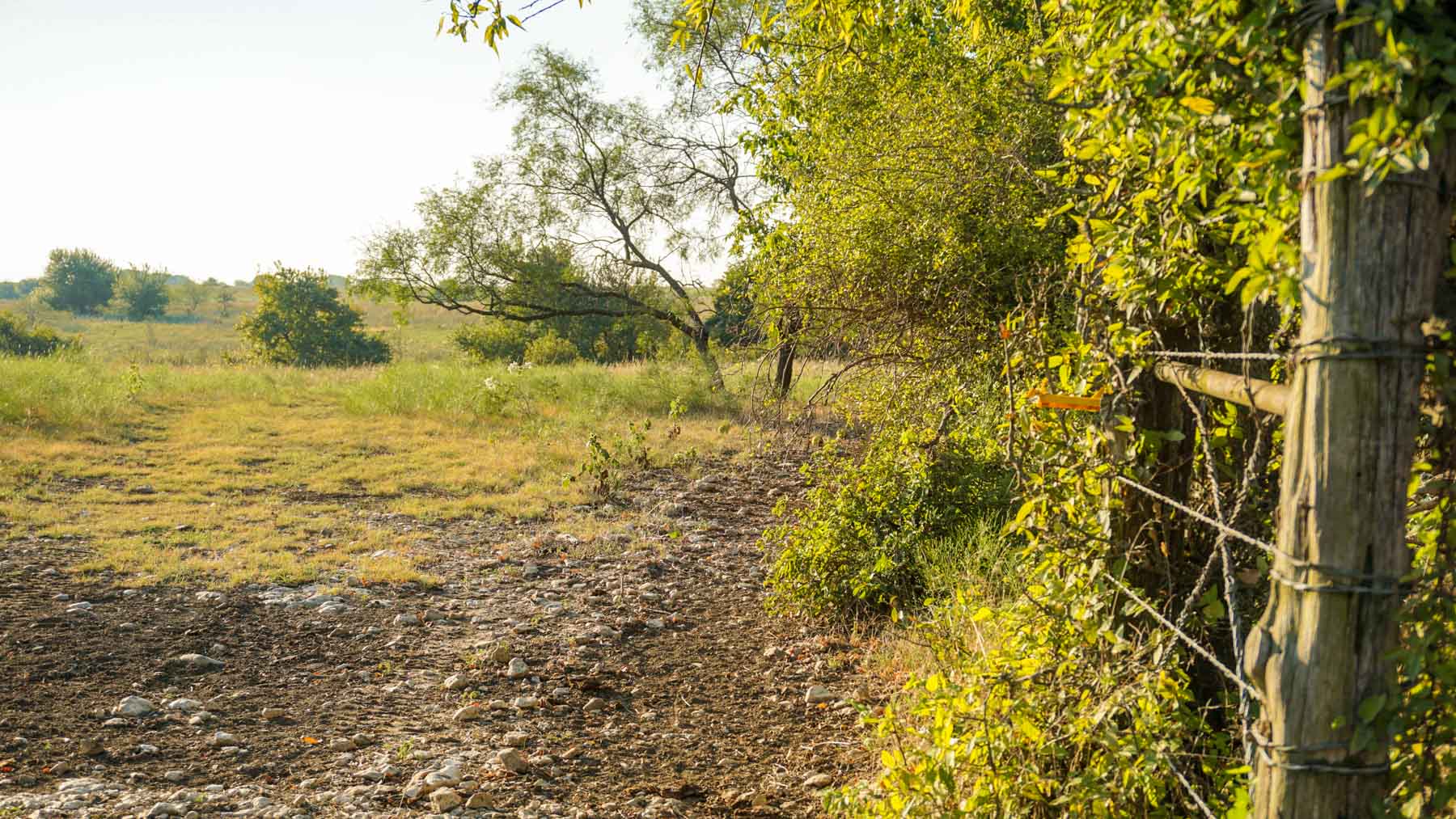 Stewart Ranch property picture 45 of 77